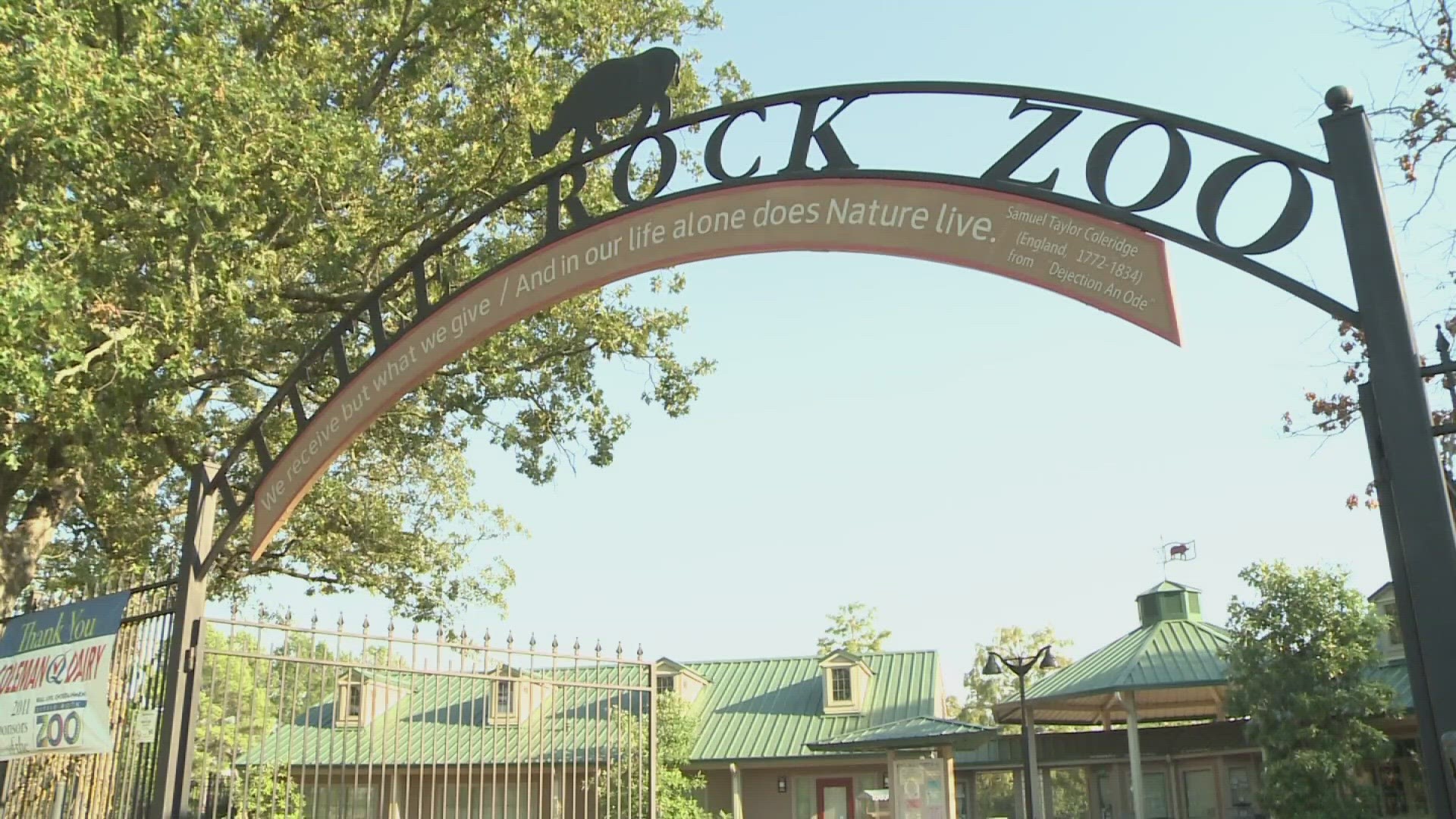 A wild bat that tested positive for rabies was humanely euthanized after Little Rock Zoo staff observed it flying erratically on Zoo grounds on Saturday, Sept. 23.