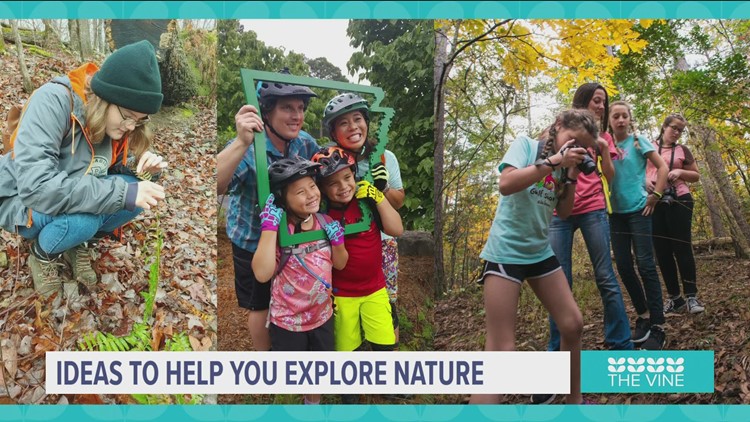 Ideas to help you explore nature