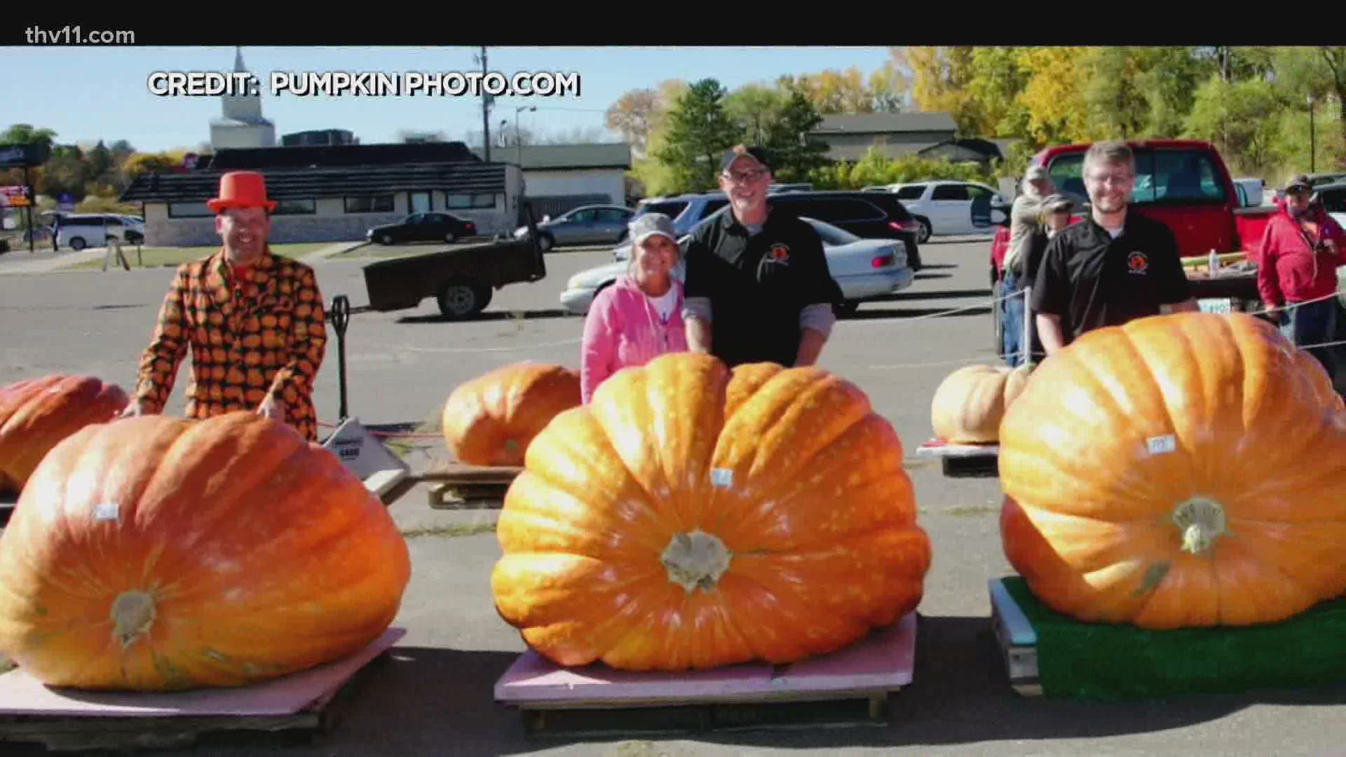 Charlie Bernstrom won this year's annual Stillwater Harvest Fest with a 1,990 pound pumpkin.
