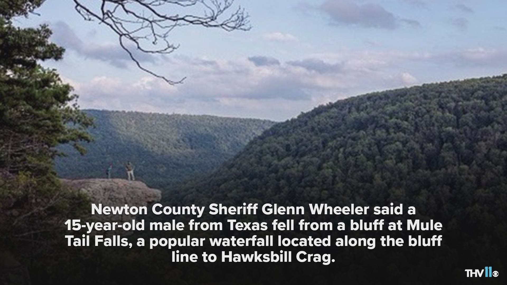 A teen has sustained severe injuries falling 15 feet from a bluff near Hawksbill Crag in Newton County.