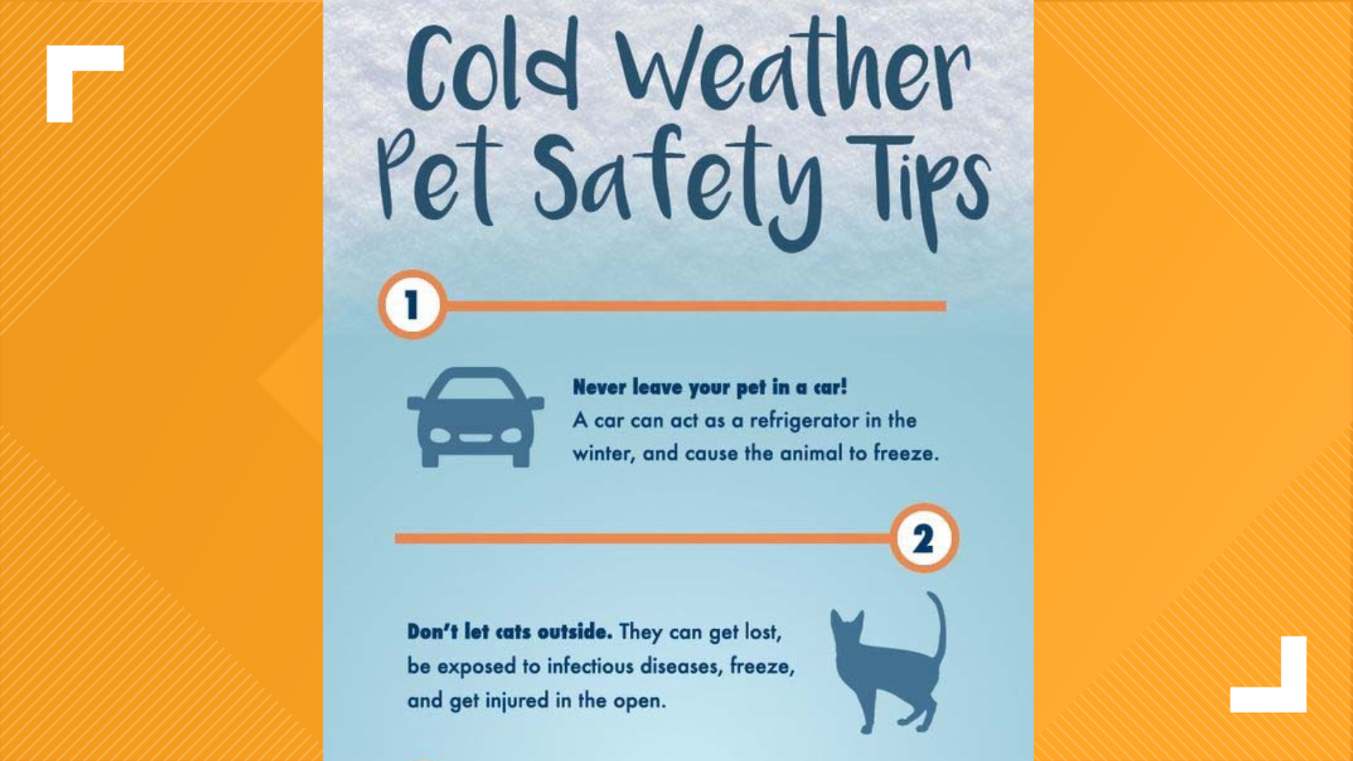 Important tips to keep your pets safe from the bitter cold | thv11.com