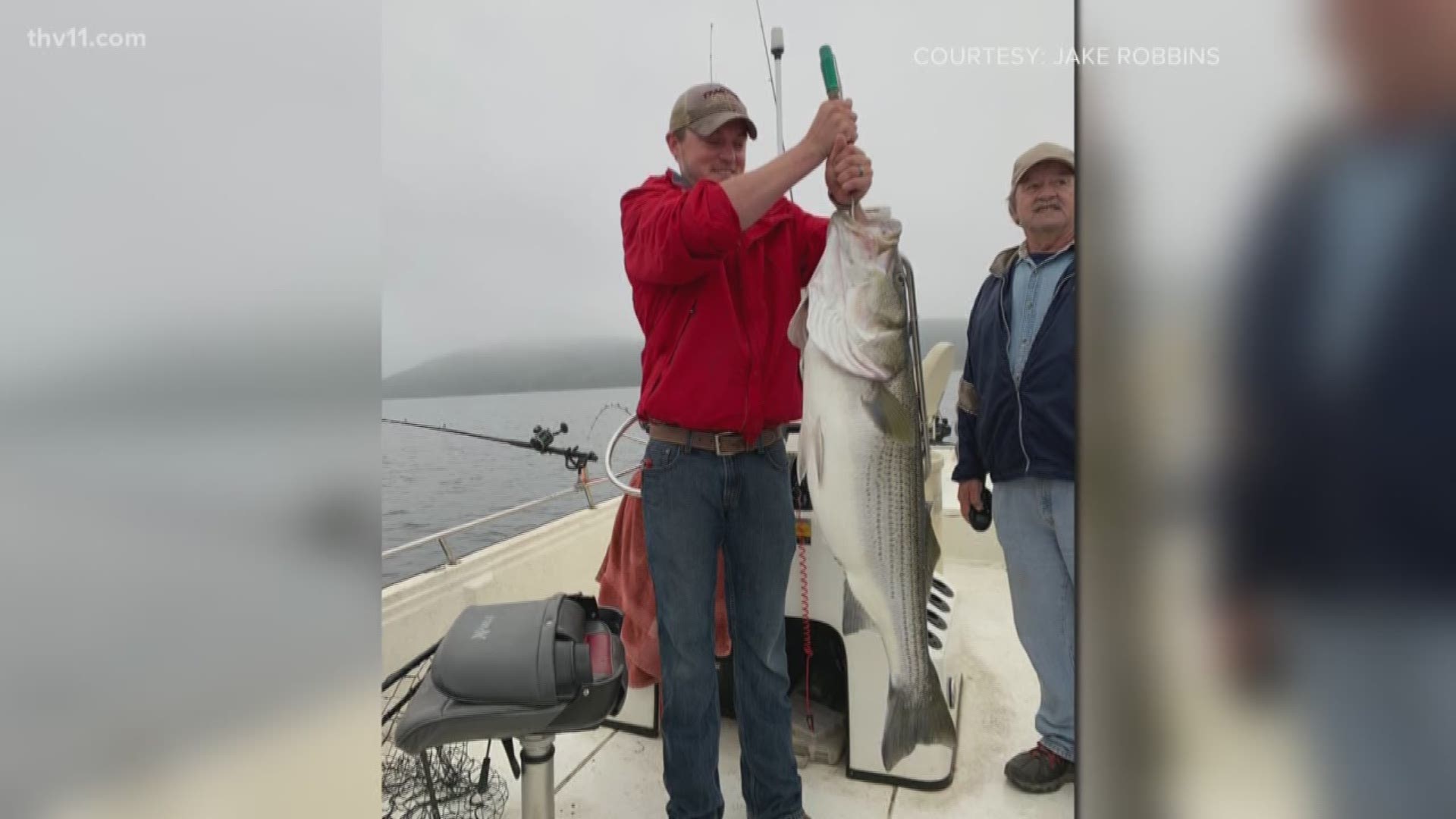It's tempting to come up with a grand story when someone asks what you did over the weekend.
A Cabot man came back from a weekend on the lake with quite a fish tale.
