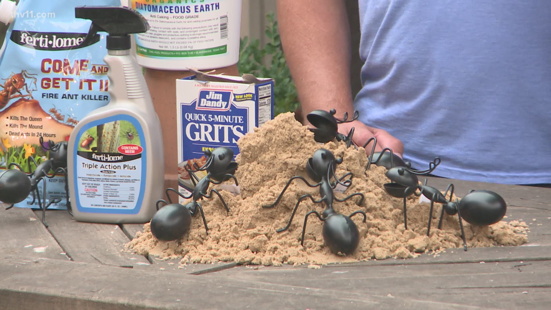 Chris H. Olsen shares tips and products that can help get rid of fire ants in your yard.