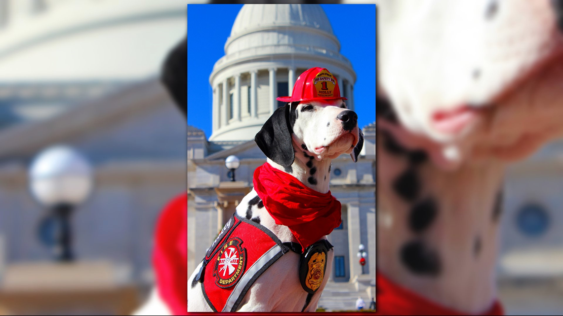 Molly the Fire Safety Dog is the official ambassador for documentary