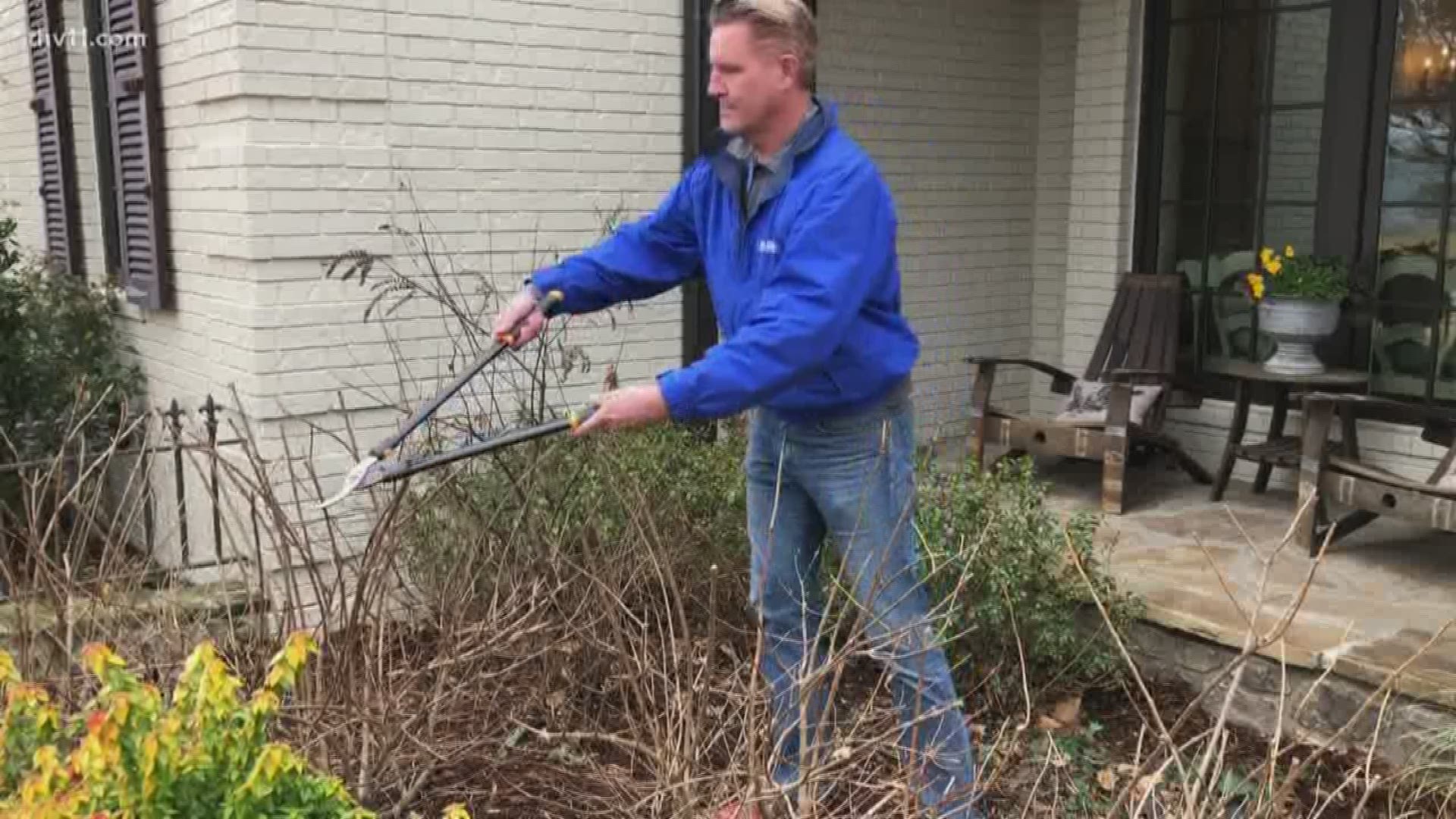 When it is time to prune those plants? What kind of mulch should we use in our flower beds? Chris H. Olsen is answering your winter garden questions.