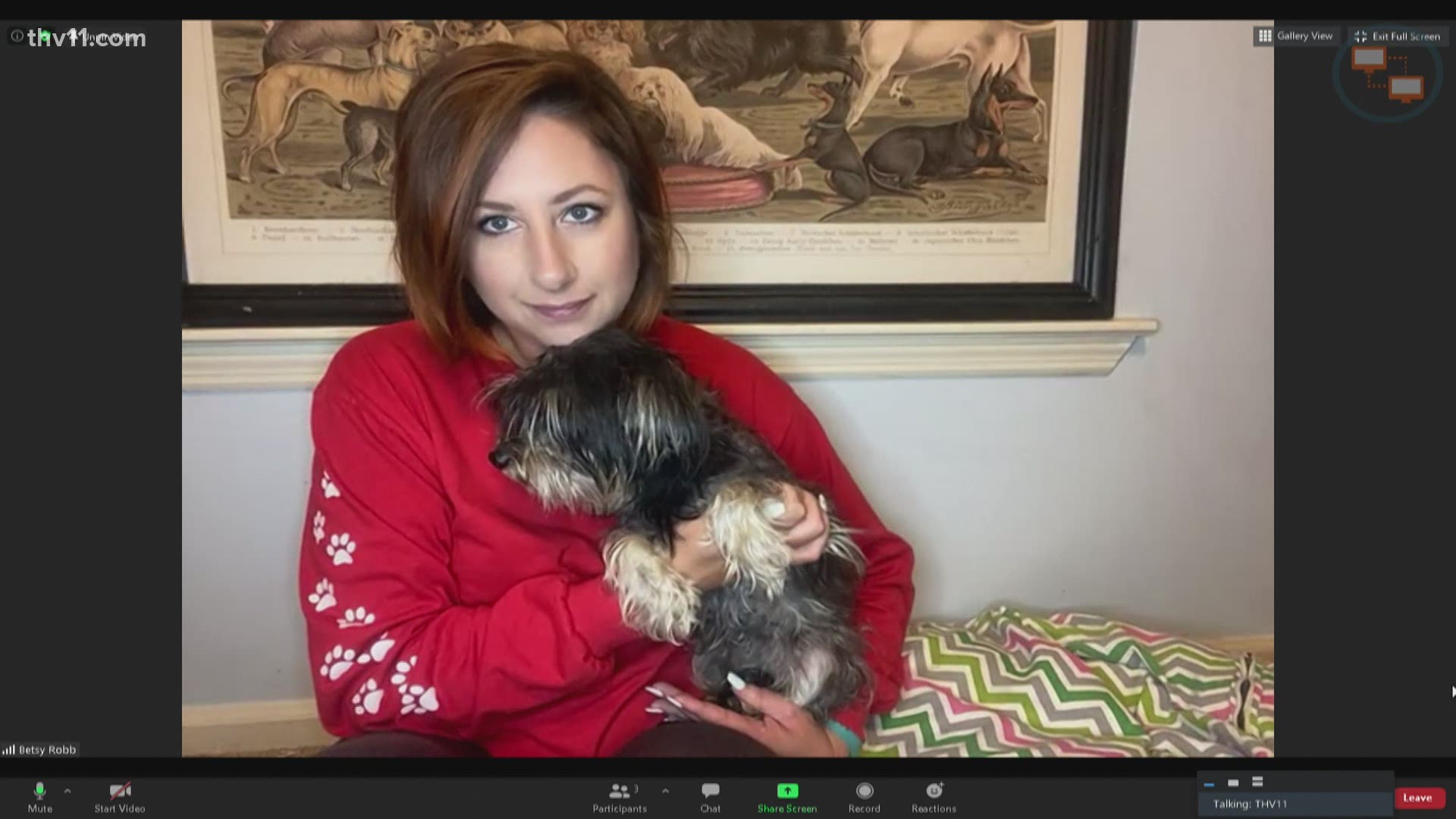 Betsy Robb from the Little Rock Animal Village is joining me now to introduce us to Alice. She is a 2-year-old Yorkie mix.