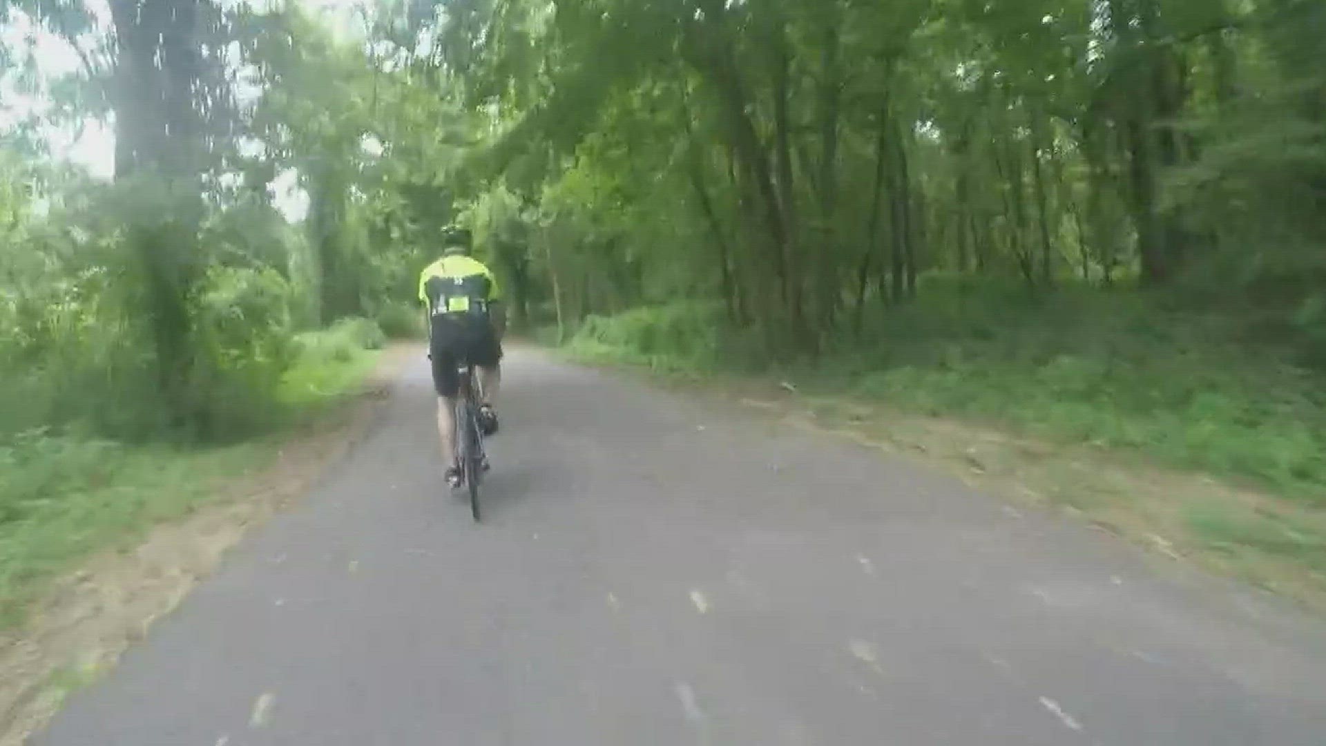 Local cyclists concerned after bike wrecks