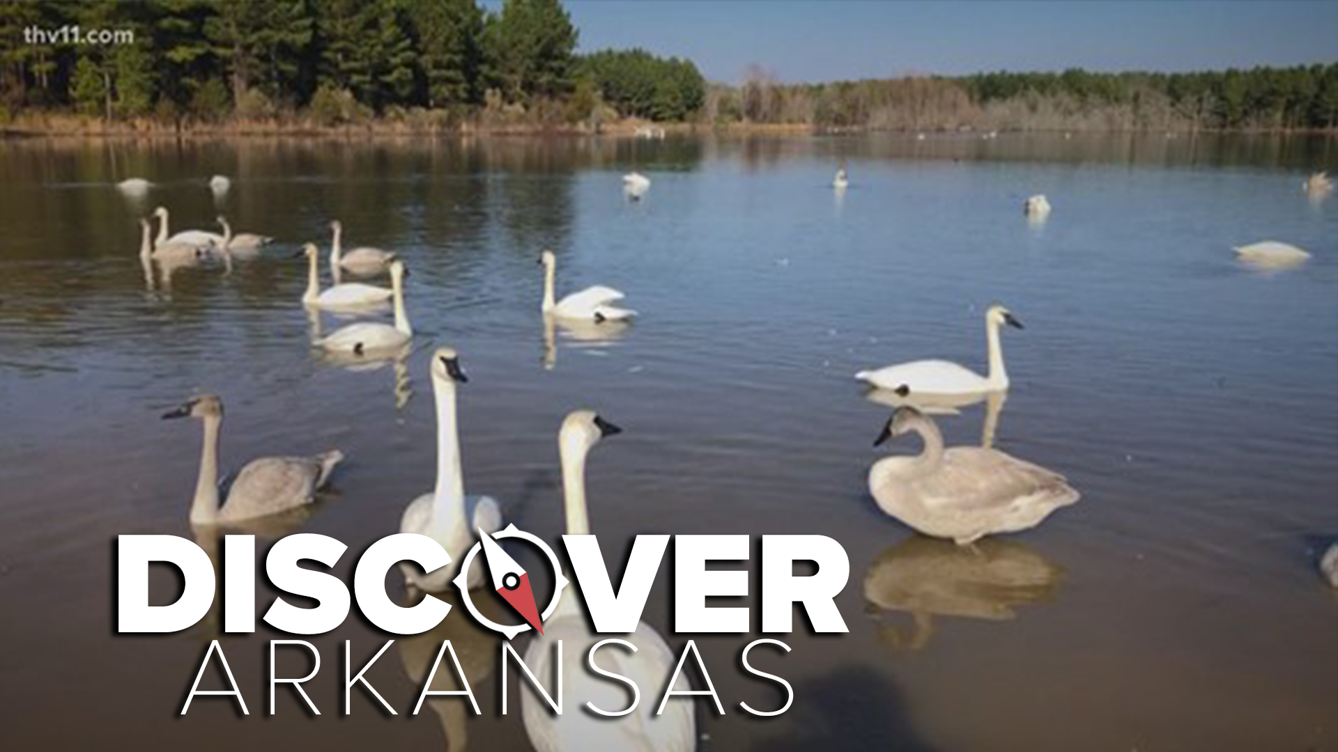 This week in Discover Arkansas, Ashley King travels to Magness Lake near Heber Springs.