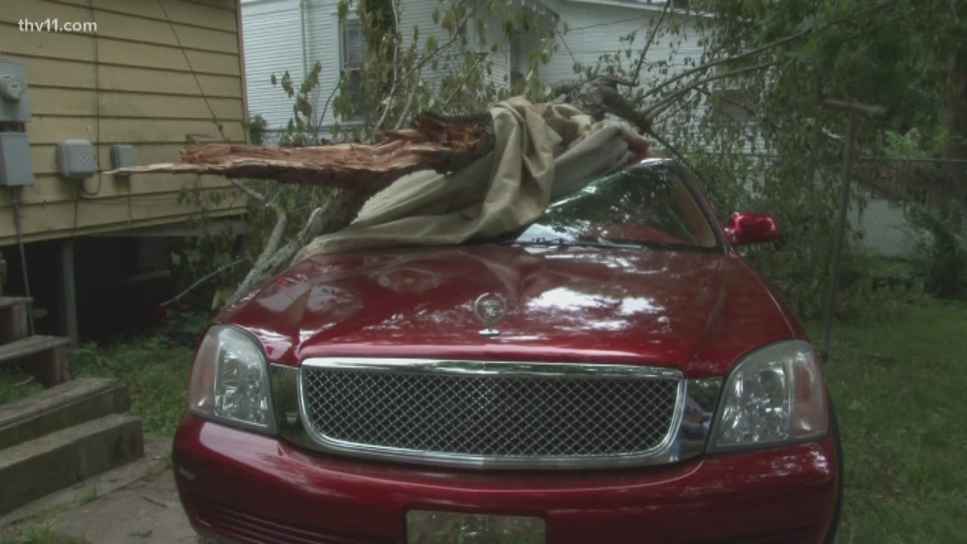 On Wednesday night Marvin Marshall pulled into his driveway around 10:00 and saw that his tree in his backyard had blown over.