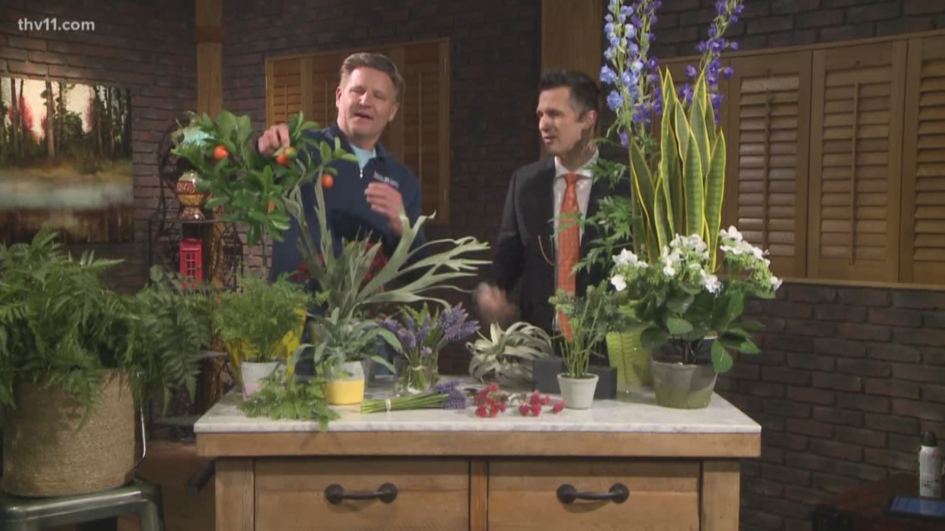 Chris H. Olsen talks 'man-friendly' plants with THV11's Rob Evans.