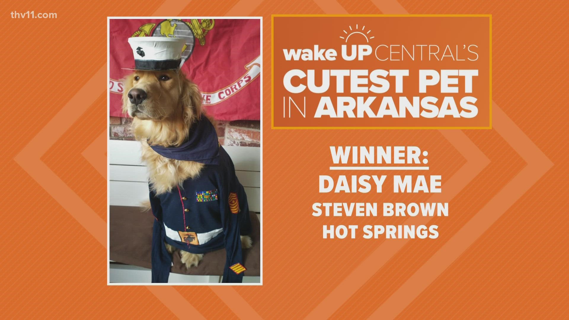 After more than 2,000 entries, it is time to crown the winner of wake up central's cutest pet in Arkansas contest and give away $1,000 from Kiko's Country RV!