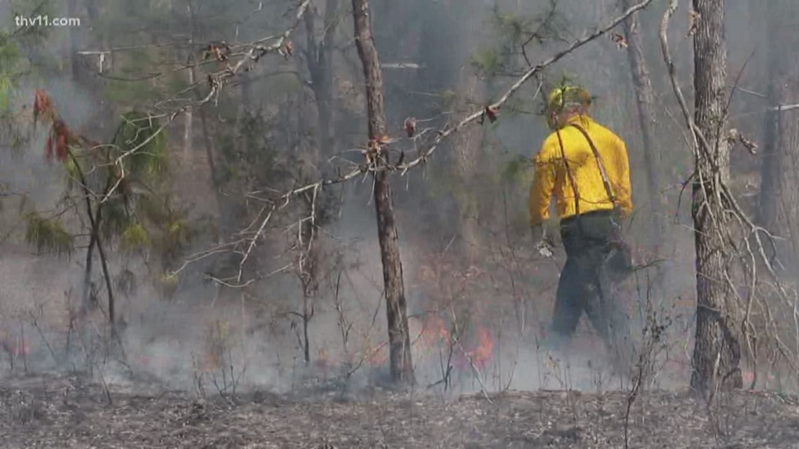 Arkansas counties with burn bans currently - Vimarsana News