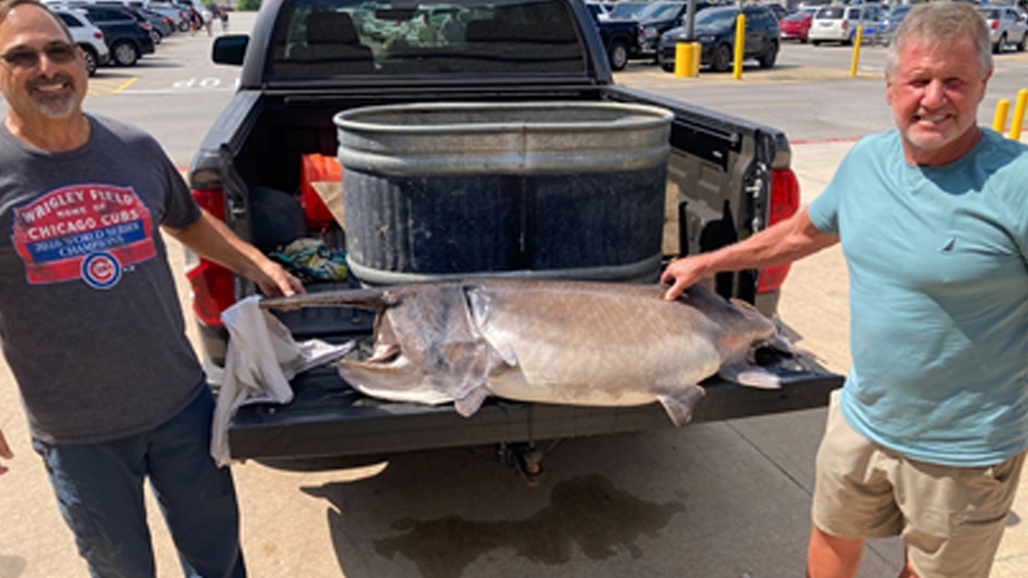 Angler snags state paddlefish record | thv11.com