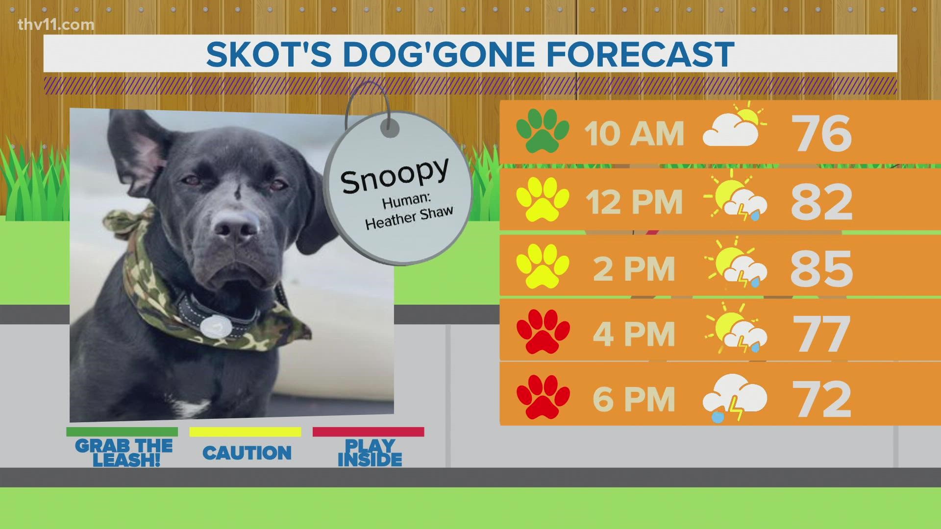 Snoopy | Skot's dog'gone forecast