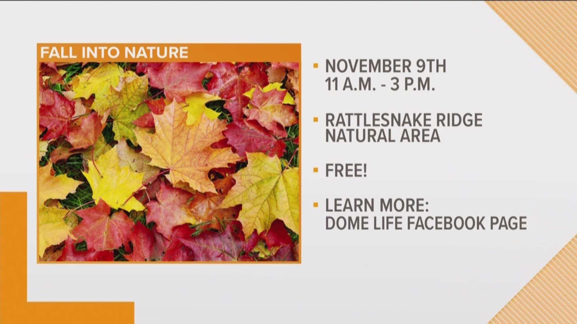 Dome Life and The Nature Conservancy is inviting you to 'Fall into Nature' by exploring the Natural State.