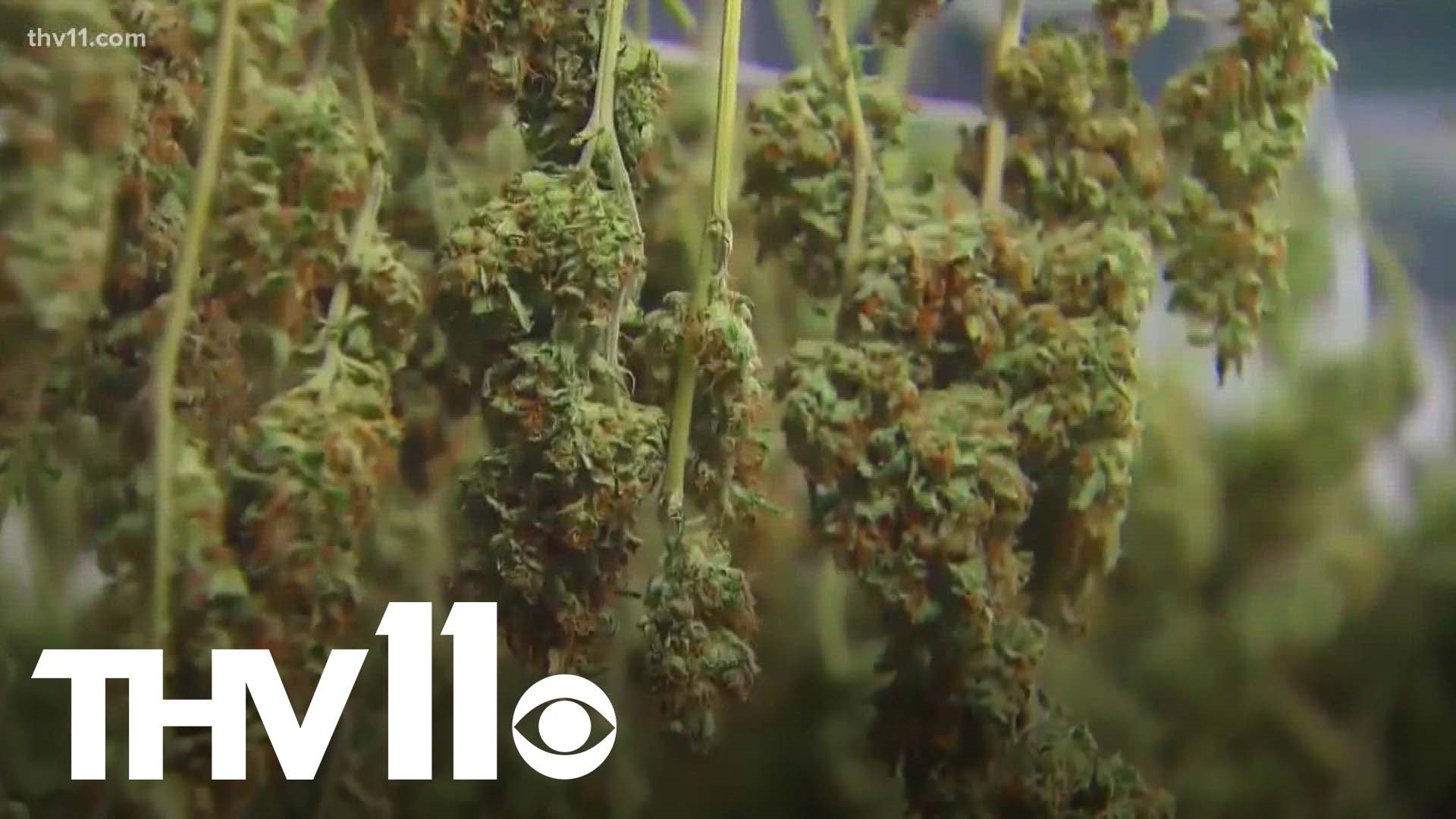 Now that recreational marijuana is officially on the November ballot, many Arkansans are speaking out, with some split on the measure.