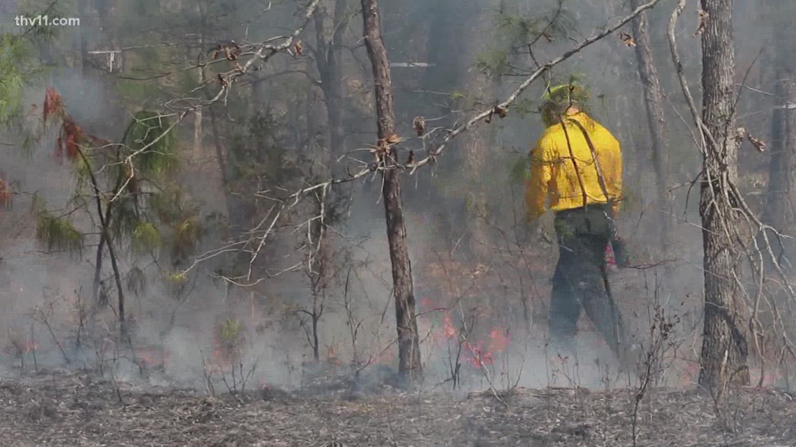 Arkansas at risk for wildfires