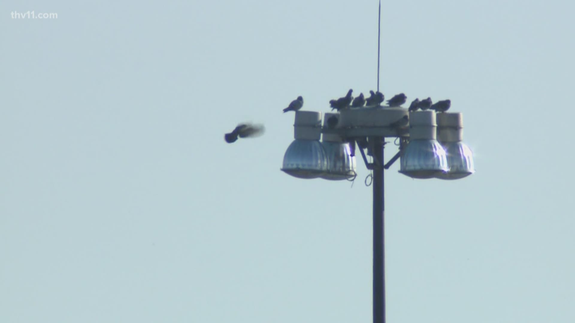 Burned out high-mast lights along the I-30/40 interchange are causing concern for some drivers. Will they be fixed? 11 Listens went to get answers.