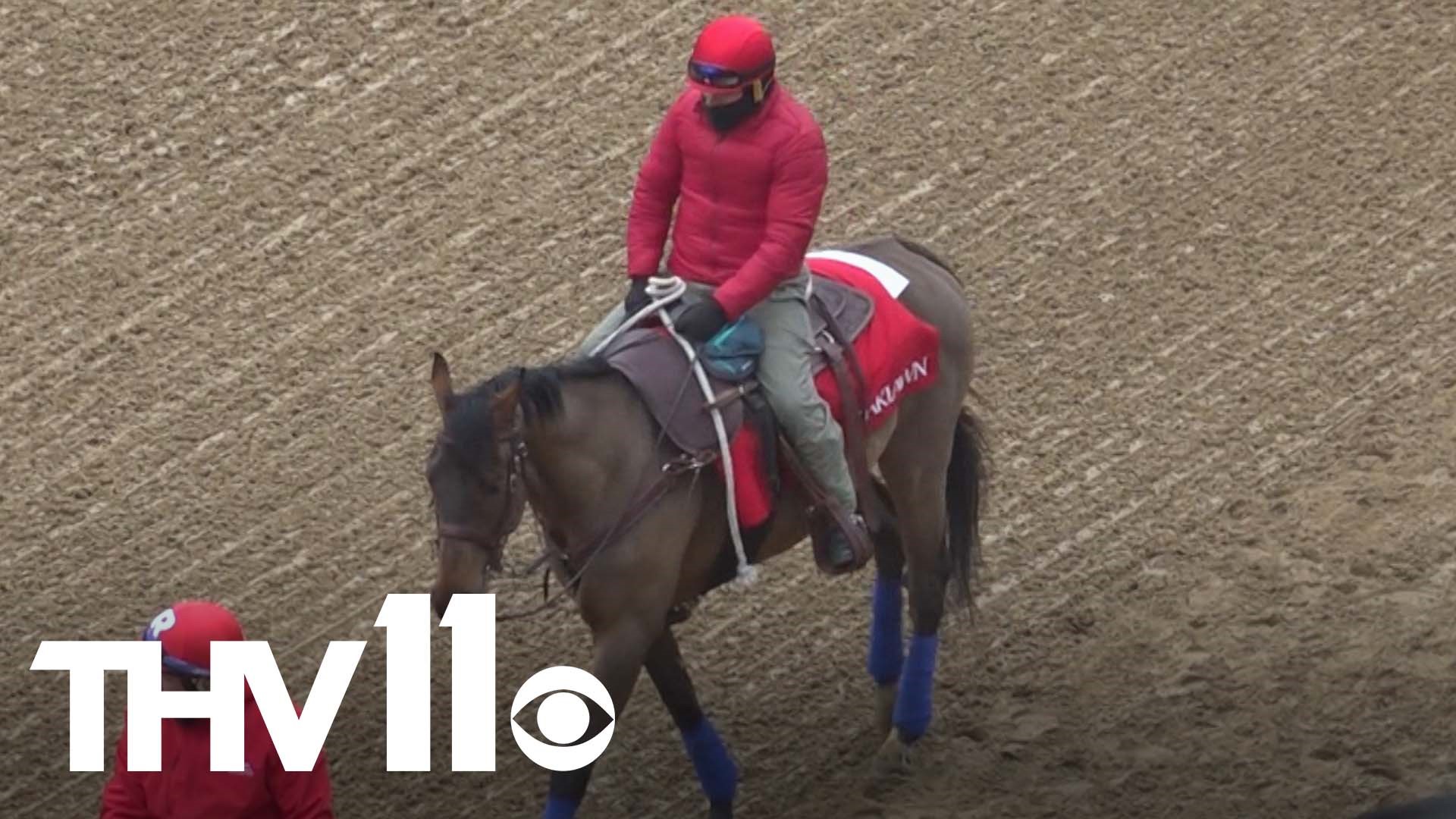 Saturday was a huge day for countless people in Arkansas as the Rebel Stakes made its to Oaklawn.