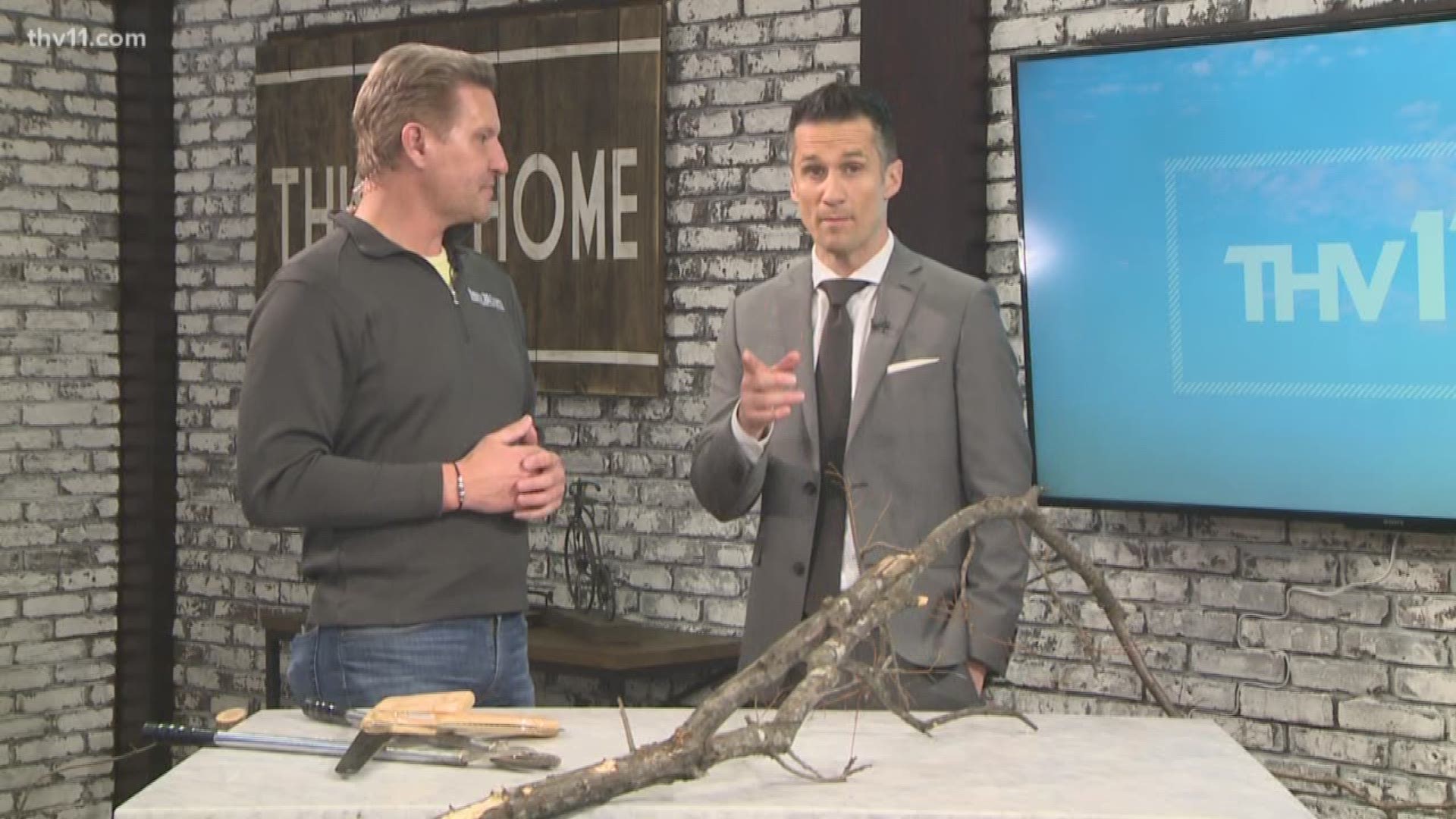Chris H. Olsen shows us how to cut limbs to allow for the best healing.