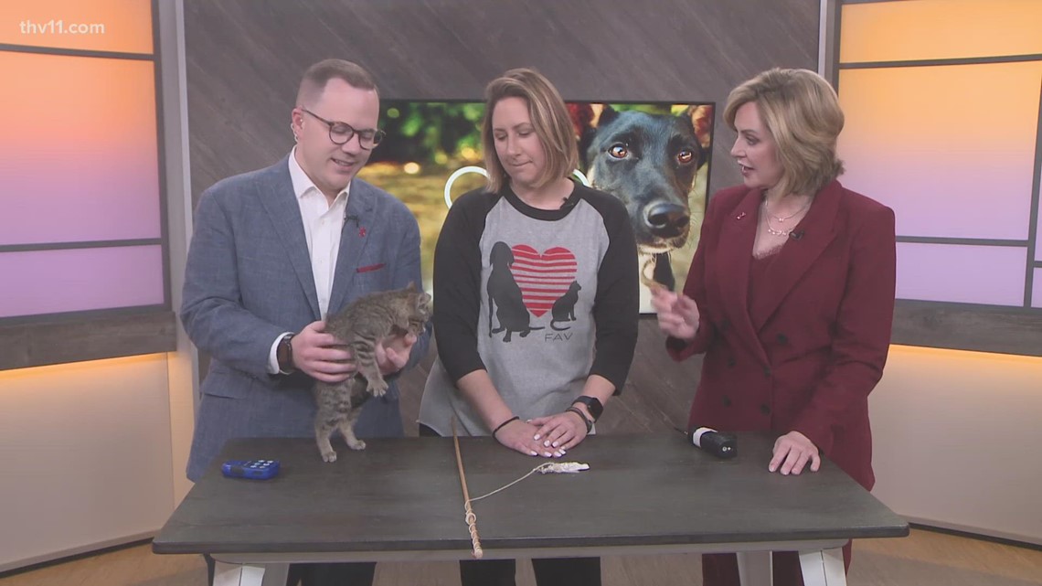 Michelle | Pet of the Week