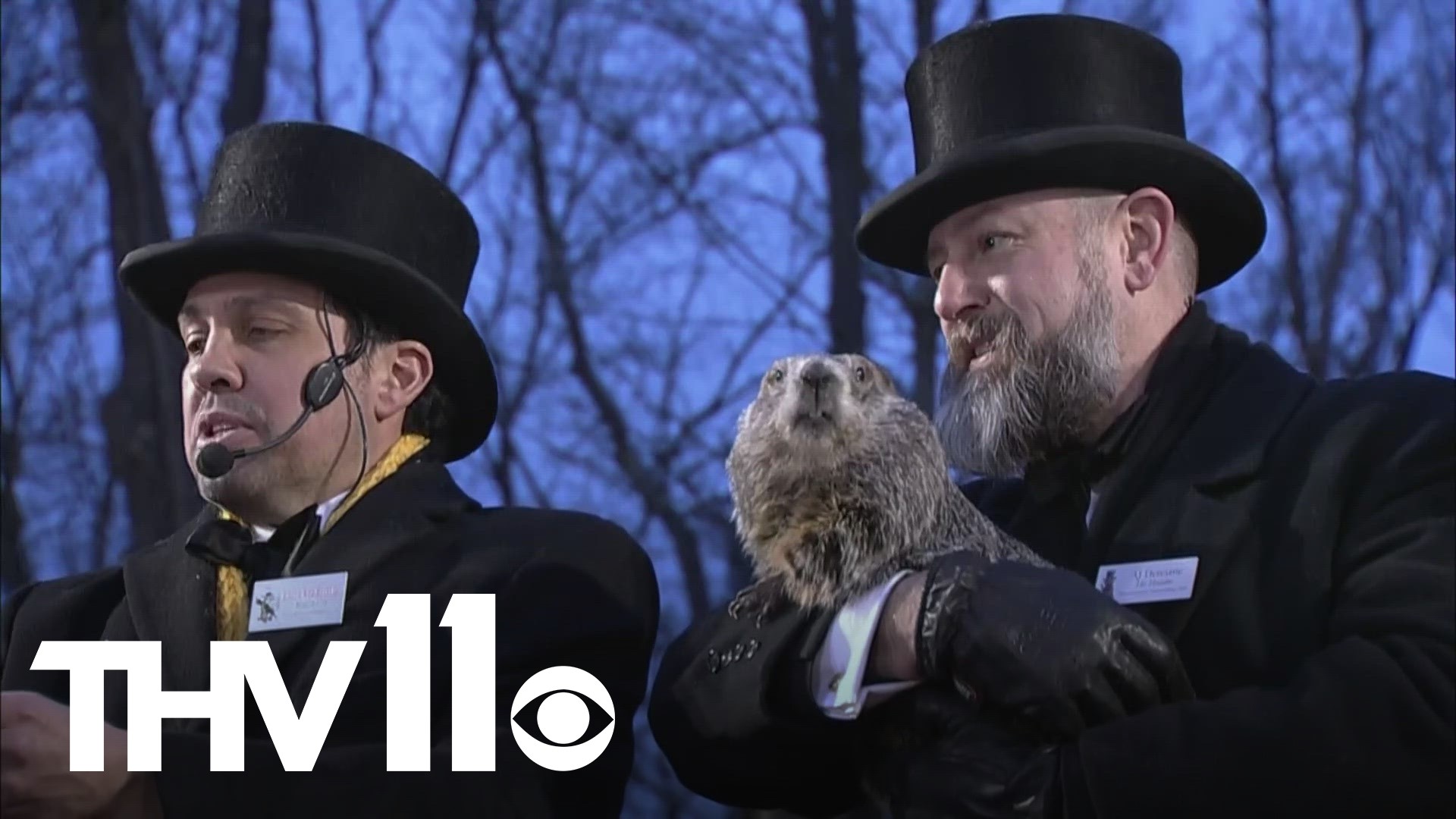 Punxsutawney Phil says we'll have an early spring in Groundhog Day ...