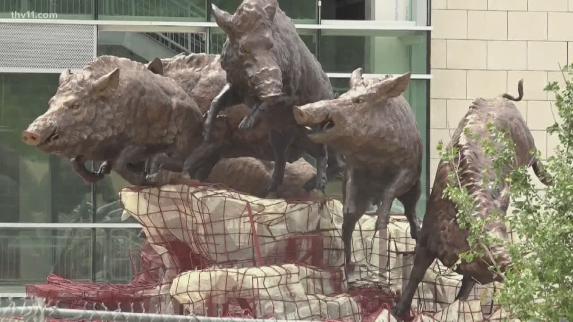 Six bronze Hog statues featured outside Razorback stadium