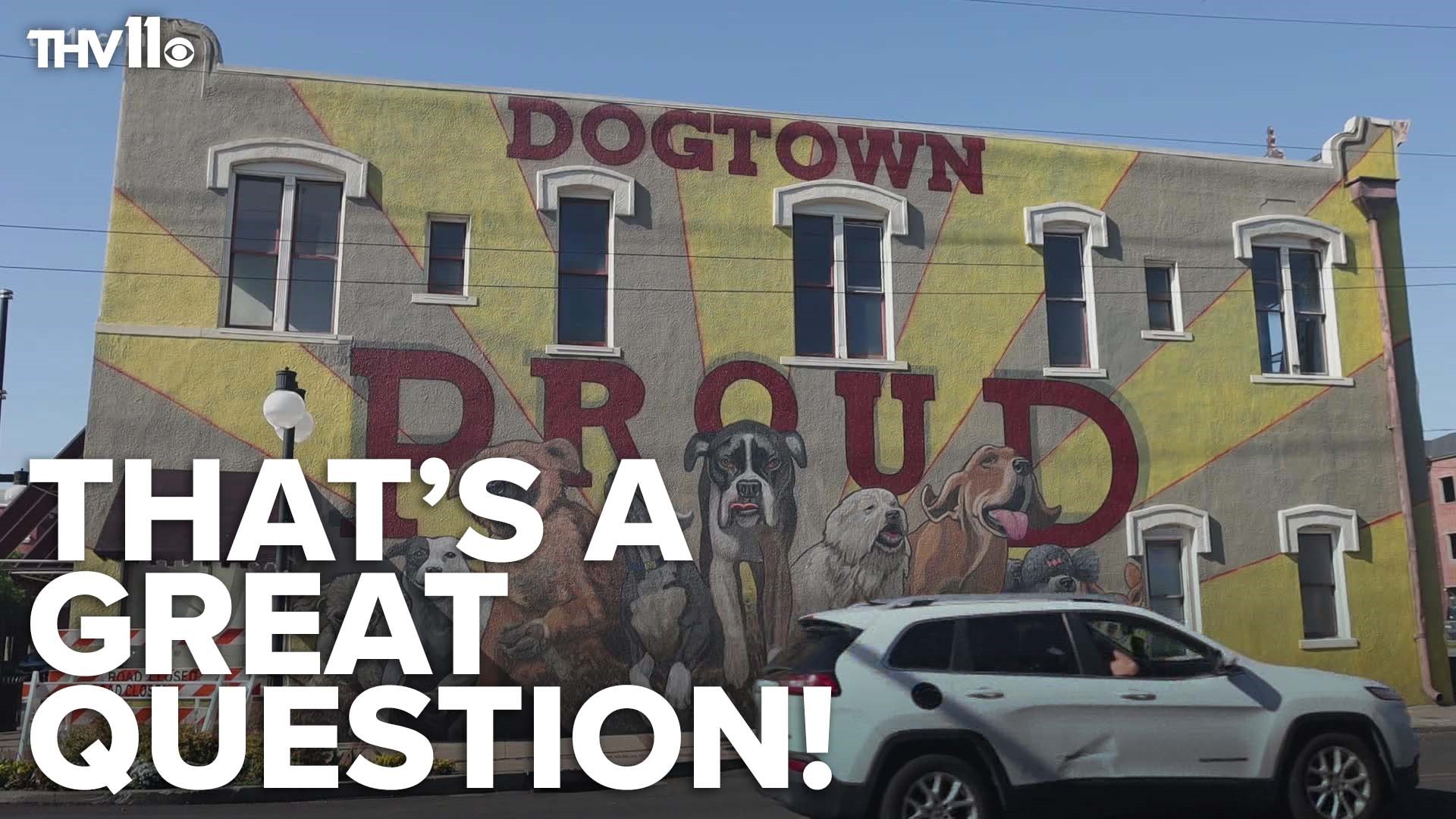 It's hard to miss all of the dog owners when you walk through Argenta, but the city's nickname hasn't always been a good one since receiving it in the 20th century.