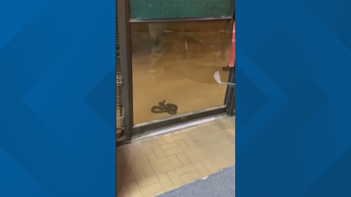 Watch: Two men stuck inside building after finding snake on door ...