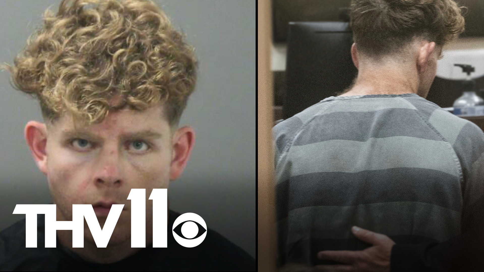 Devil's Den murder suspect Andrew McGann pleads not guilty | thv11.com