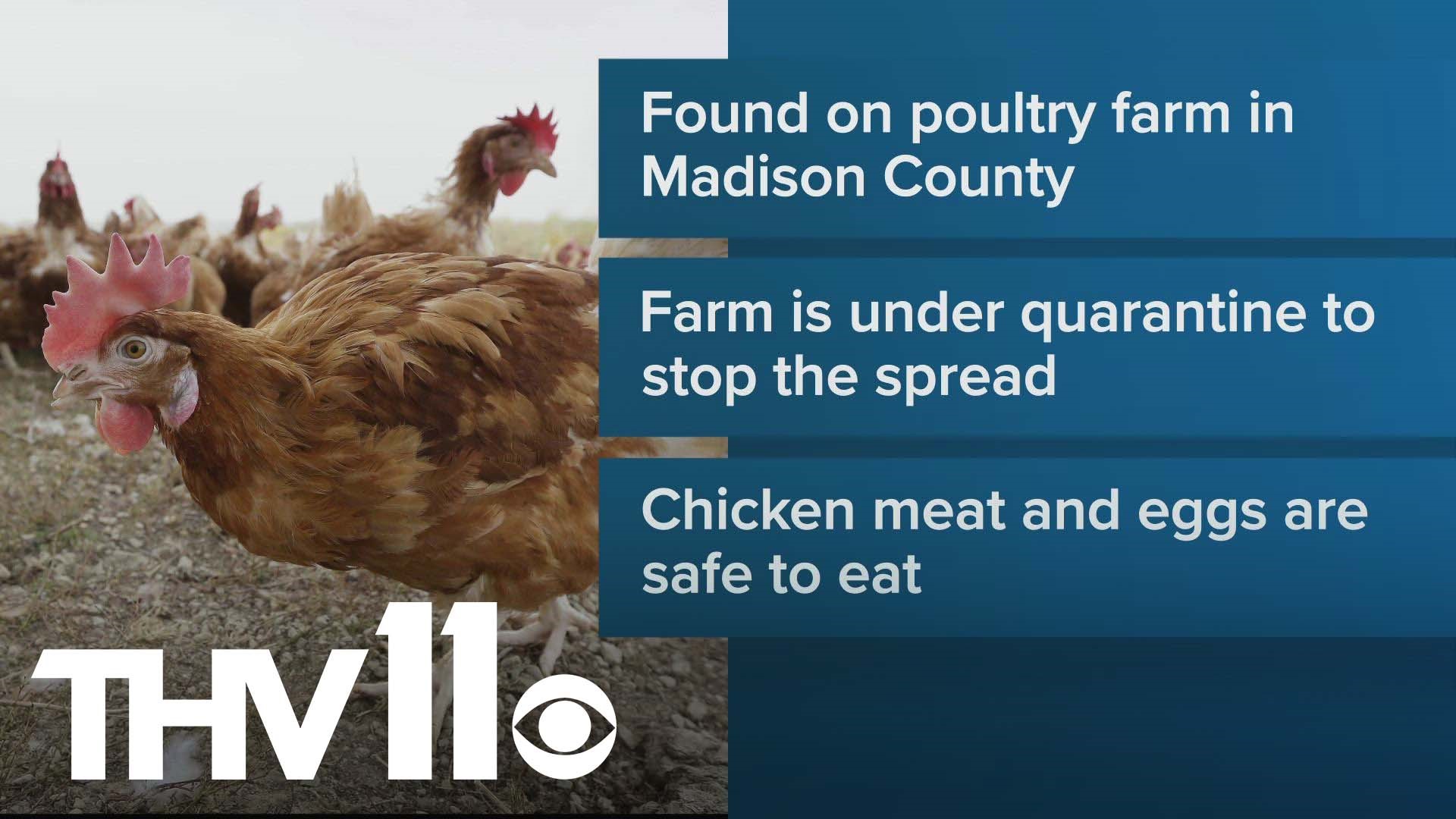 Arkansas poultry farmers have been urged to take precautions after avian influenza, or bird flu, was confirmed on a Madison County farm.