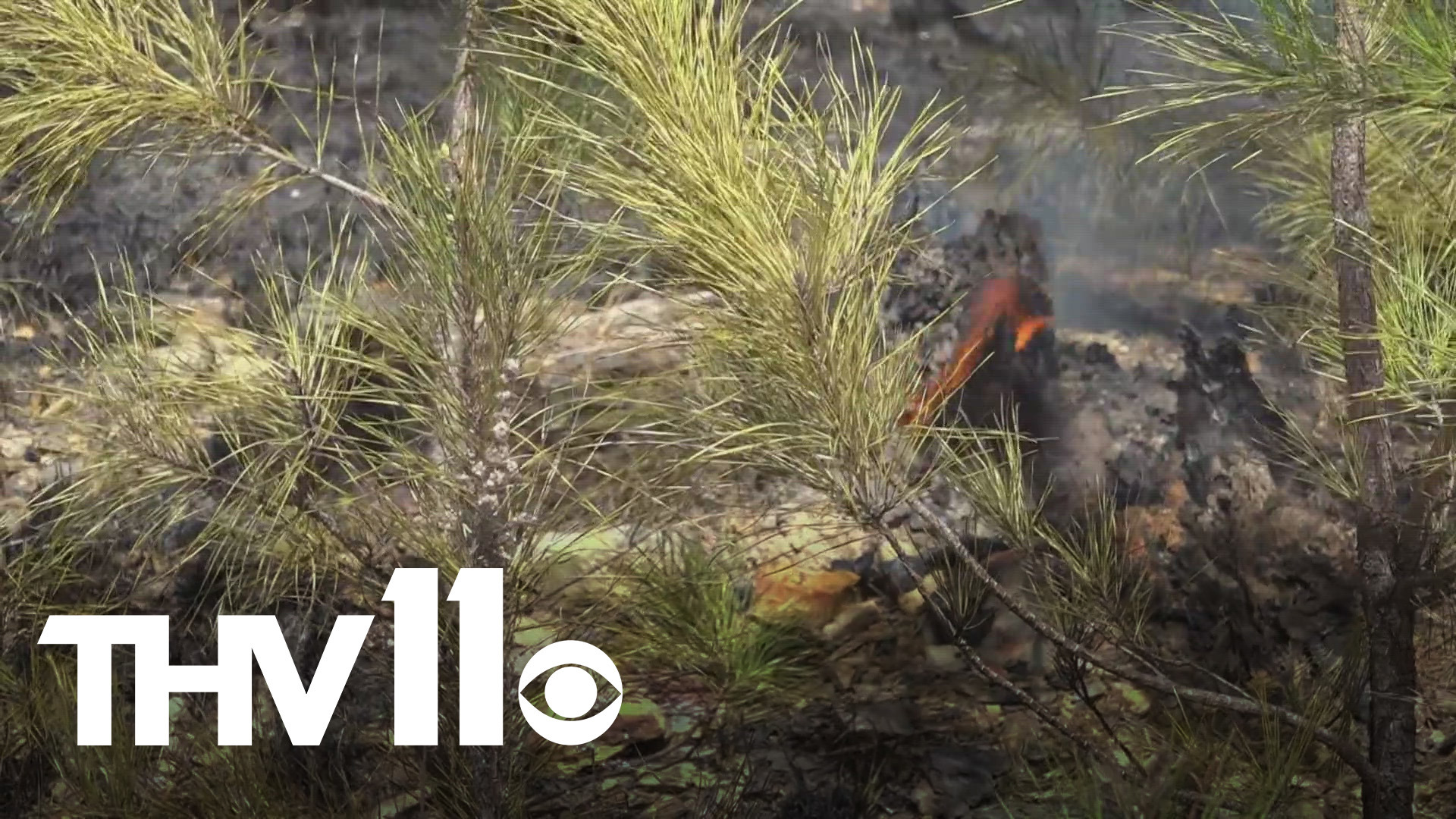 Arkansas officials still battling fire in Pulaski County | Here's the ...