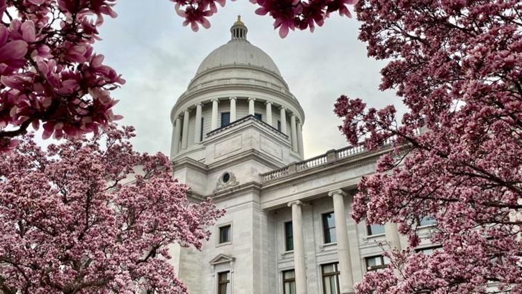 Lawsuit now filed that challenges Arkansas's US House map as unconstitutional