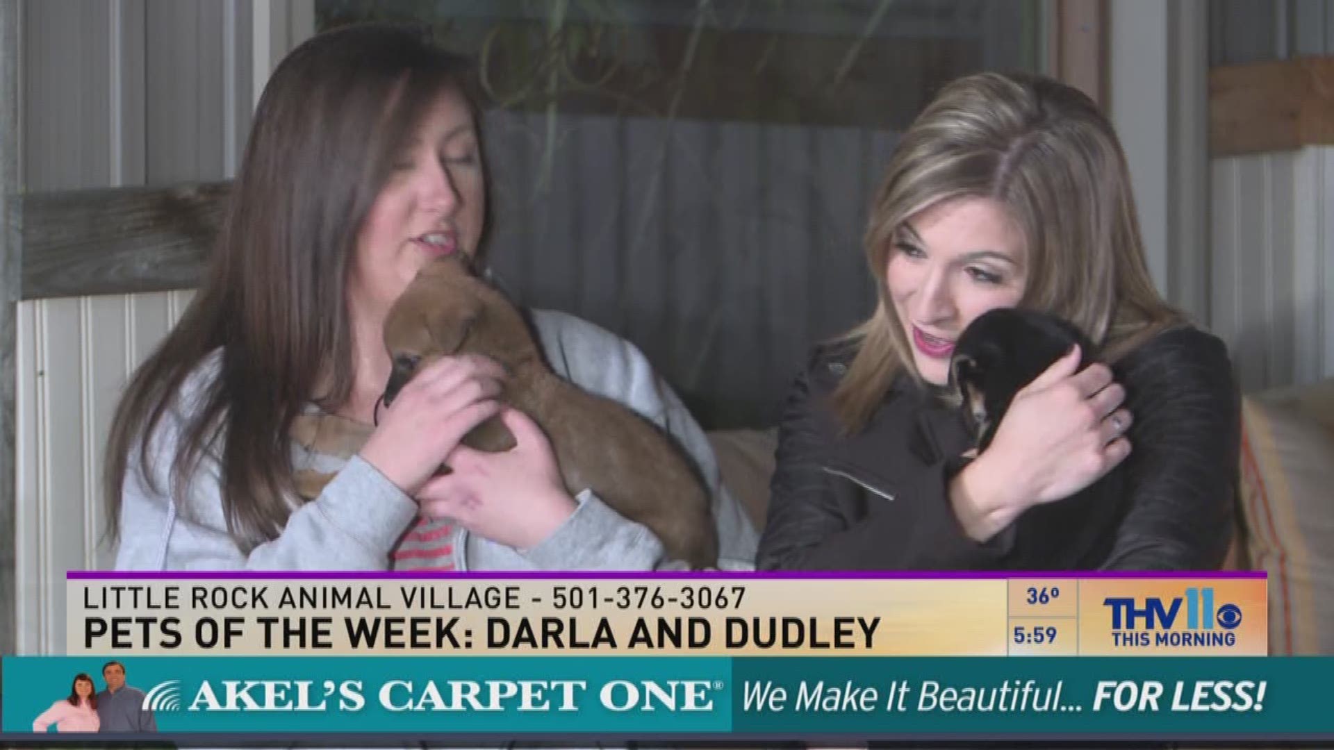 Betsy Robb from Friends of the Animal Village joined THV11 This Morning with two pups named Darla and Dudley