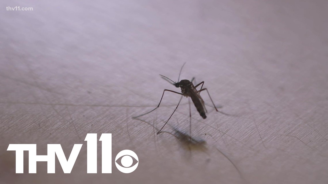 Mosquito season is changing due to rising temps