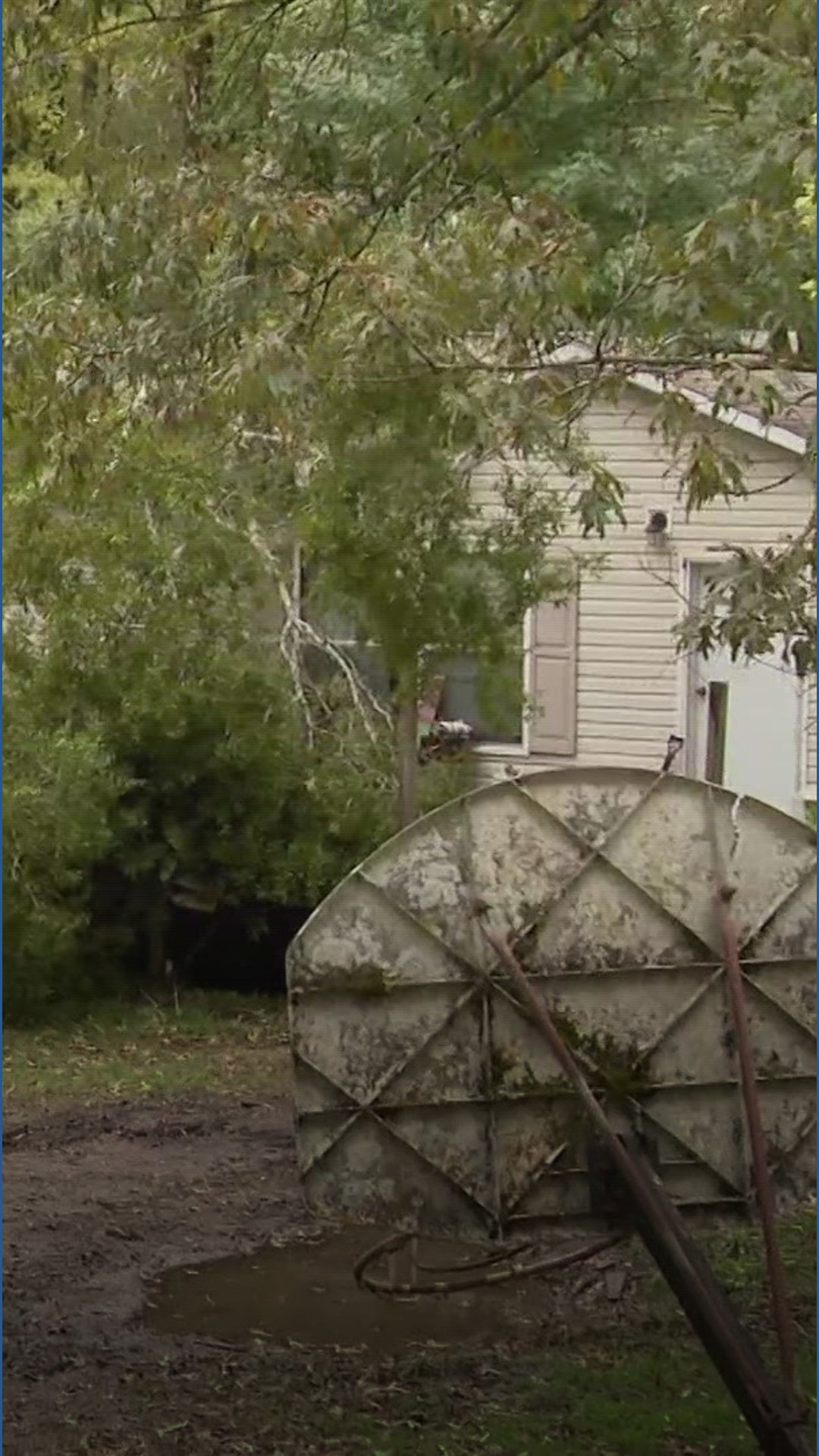 Arkansas woman dies after tree falls on home | thv11.com