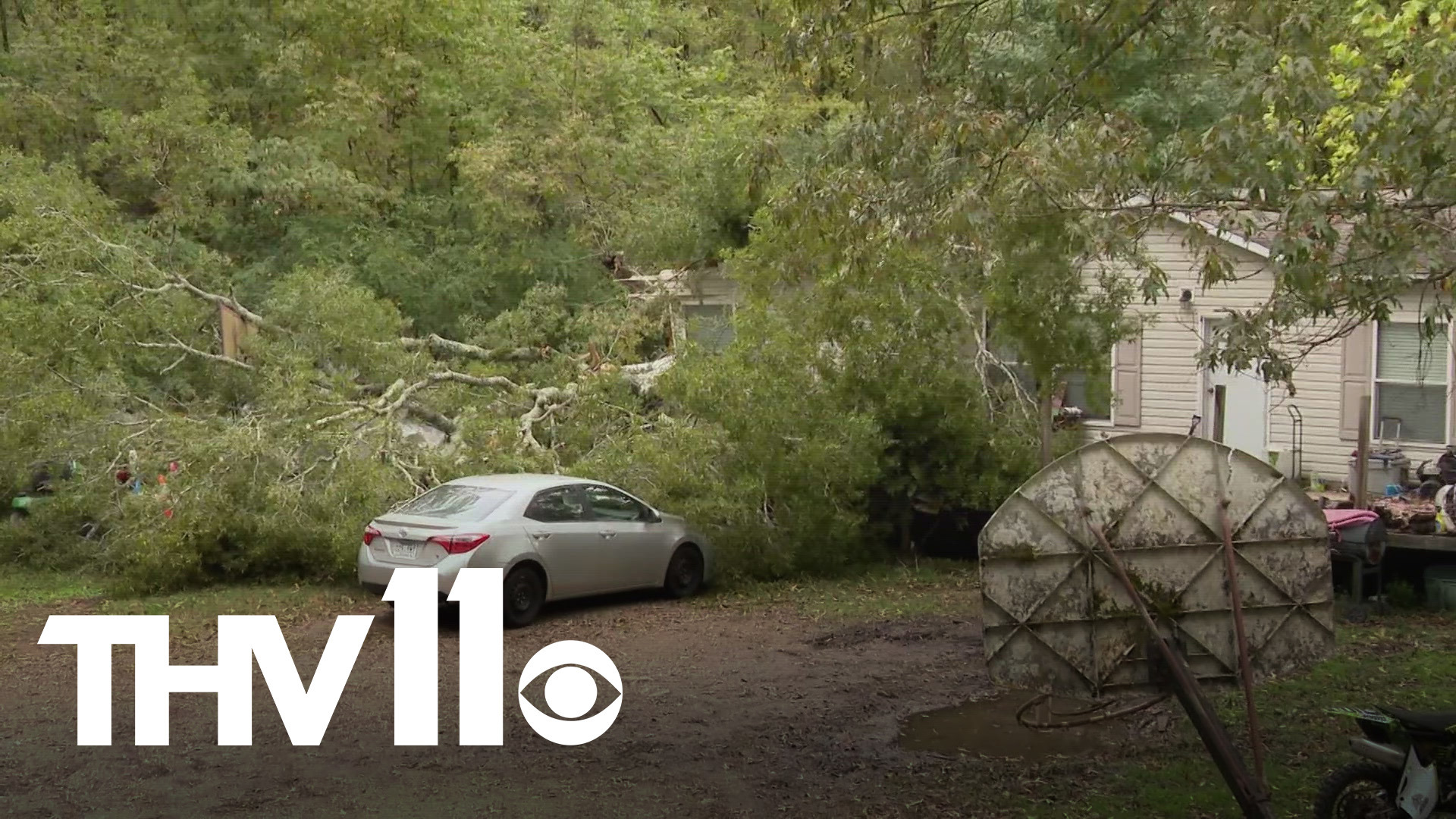 Arkansas woman dies after tree falls on home | thv11.com