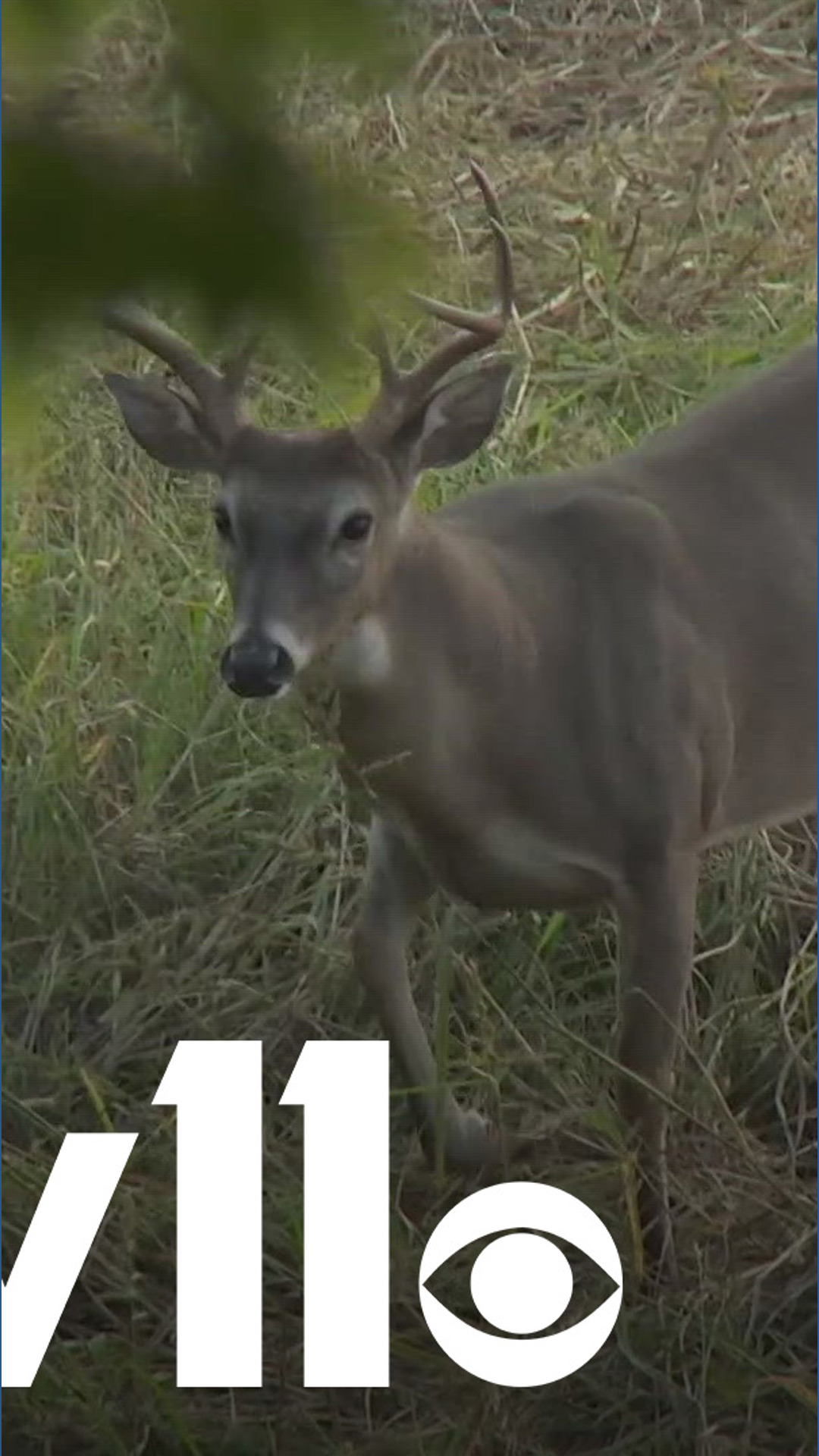 Successful start to hunting season & Hunter's Ed | Outdoor Report ...