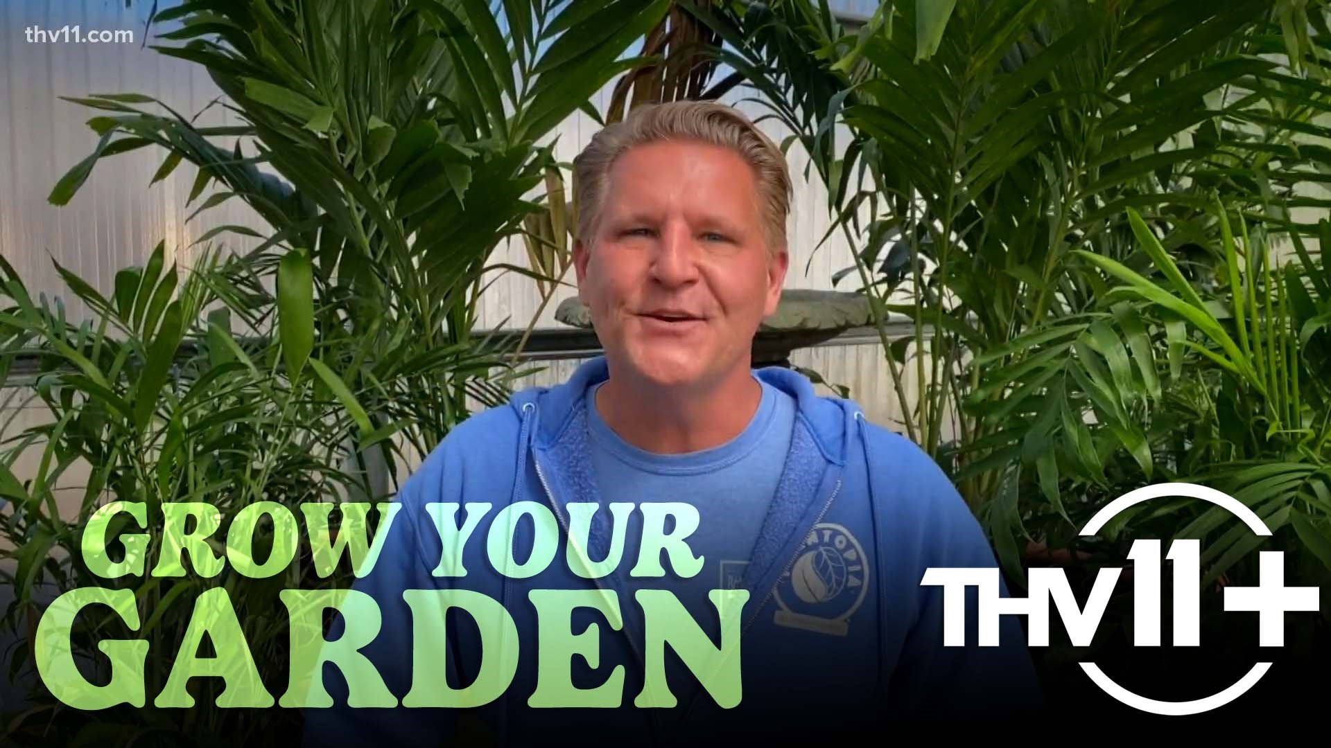 Chris H. Olsen gives the latest tips for growing your garden including advice on plants that will survive the summer heat and dealing with fire ants.