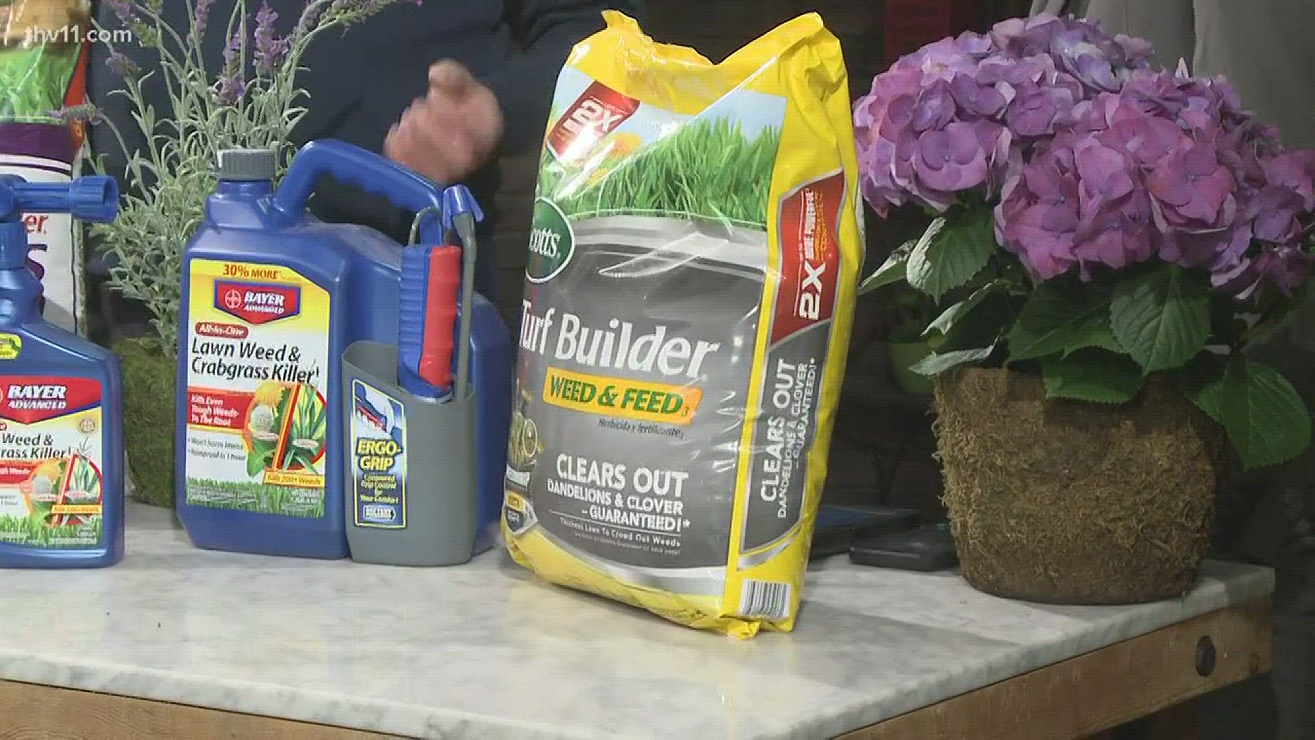 Chris H. Olsen joined THV11 on Home and Garden Wednesday to talk about weeds