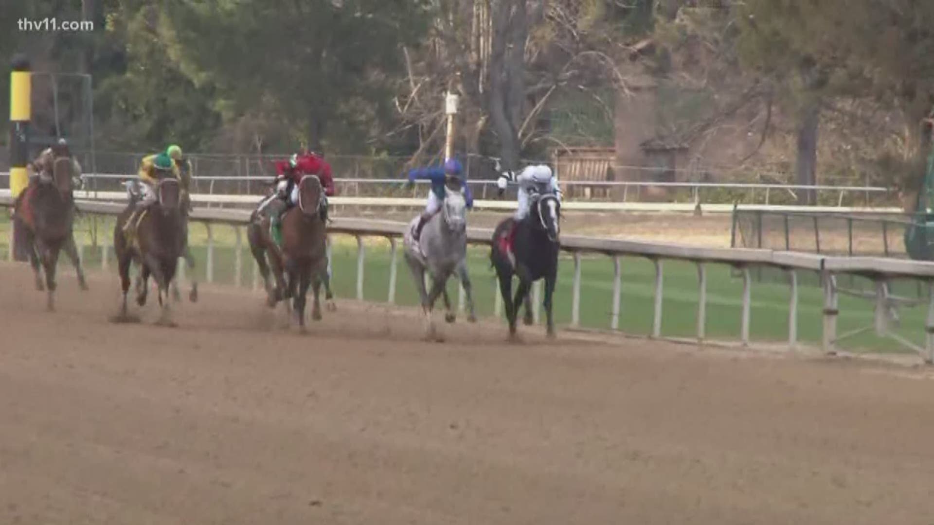 Gray Attempt takes $150,000 Smarty Jones Stakes