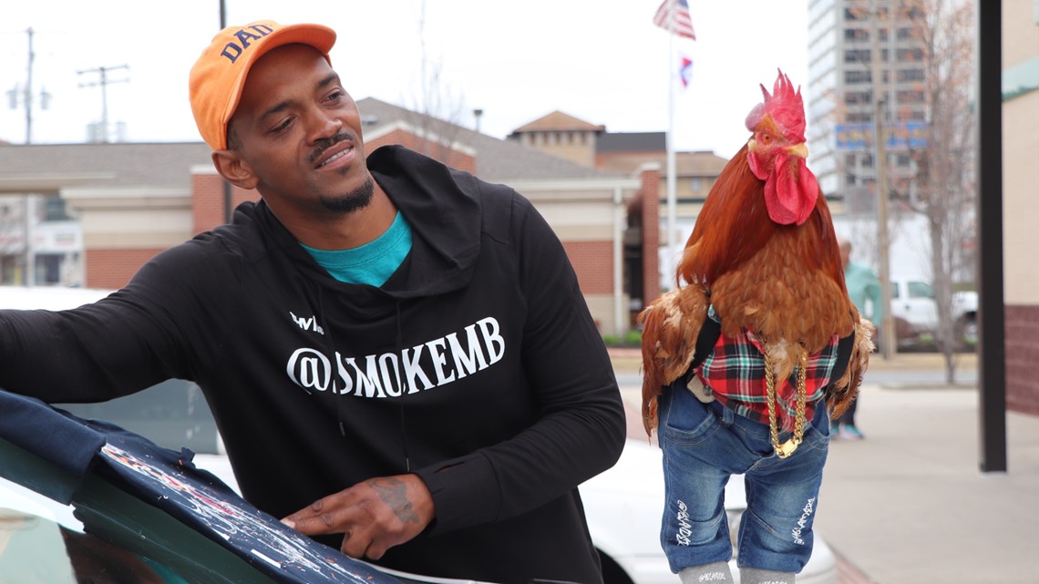 Rooster going viral in Arkansas for a good cause | thv11.com