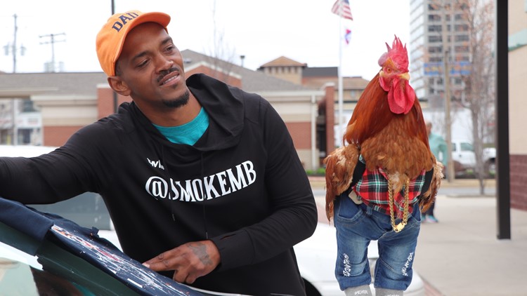 This rooster is turning heads and raising money around Central Arkansas