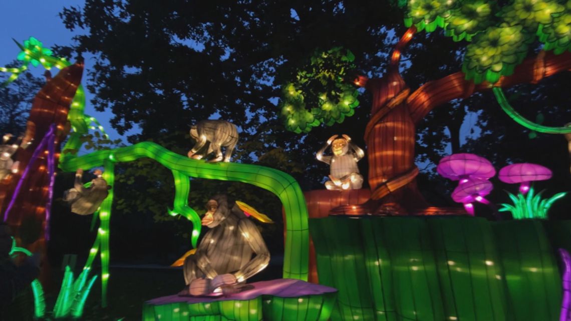 GloWild festival returns to Little Rock Zoo this month