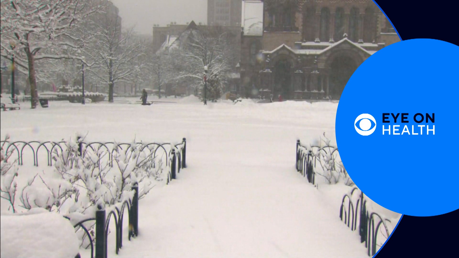 Eye on Health takes a look at the health stories that make news during the week. This week we look at snow shoveling health tips and zebrafish.