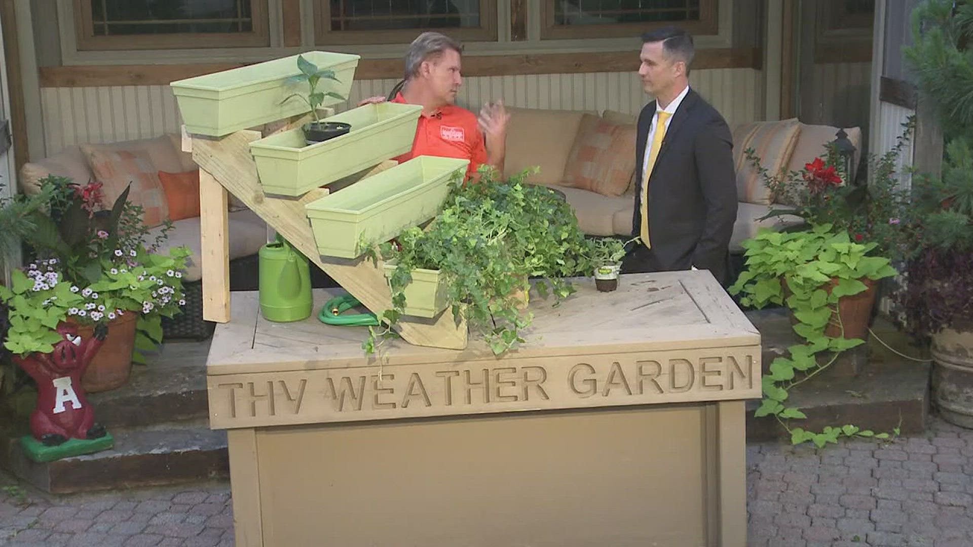Lifestyle expert Chris H. Olsen joined THV11 This Morning to tell us about gardening made easy with a vertical planter