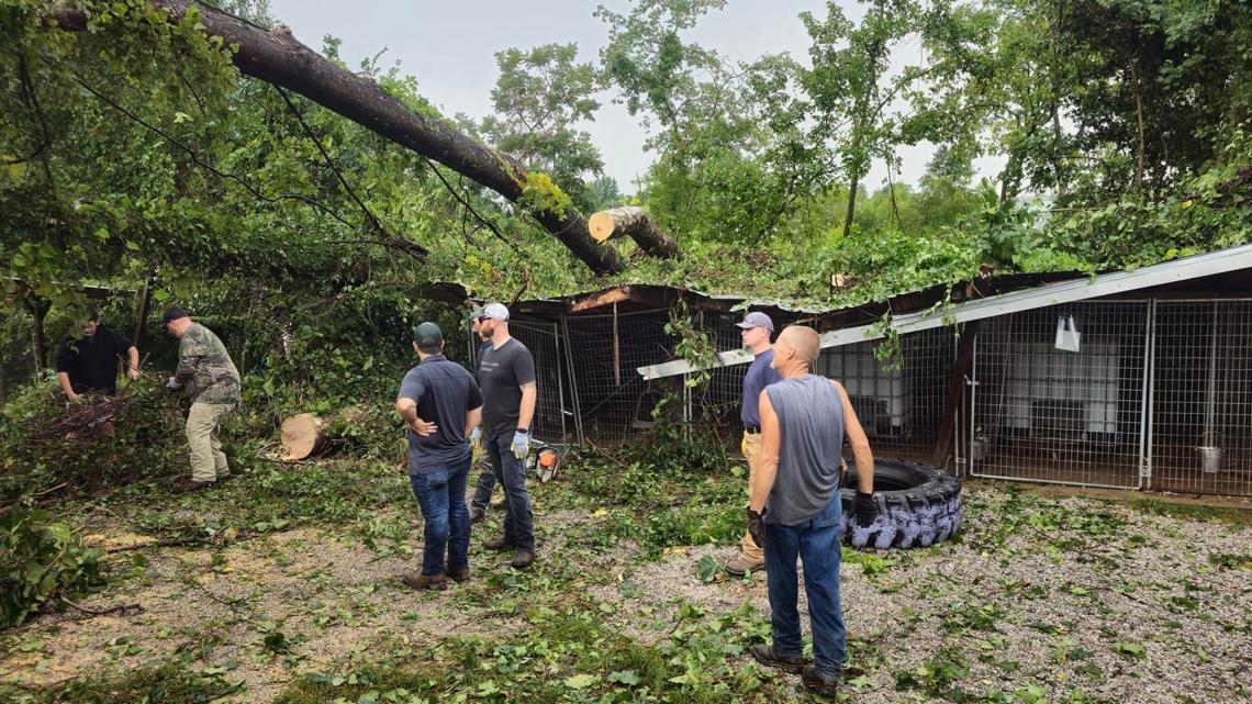 Arkansas humane society recovering after storm hits building - Vimarsana News