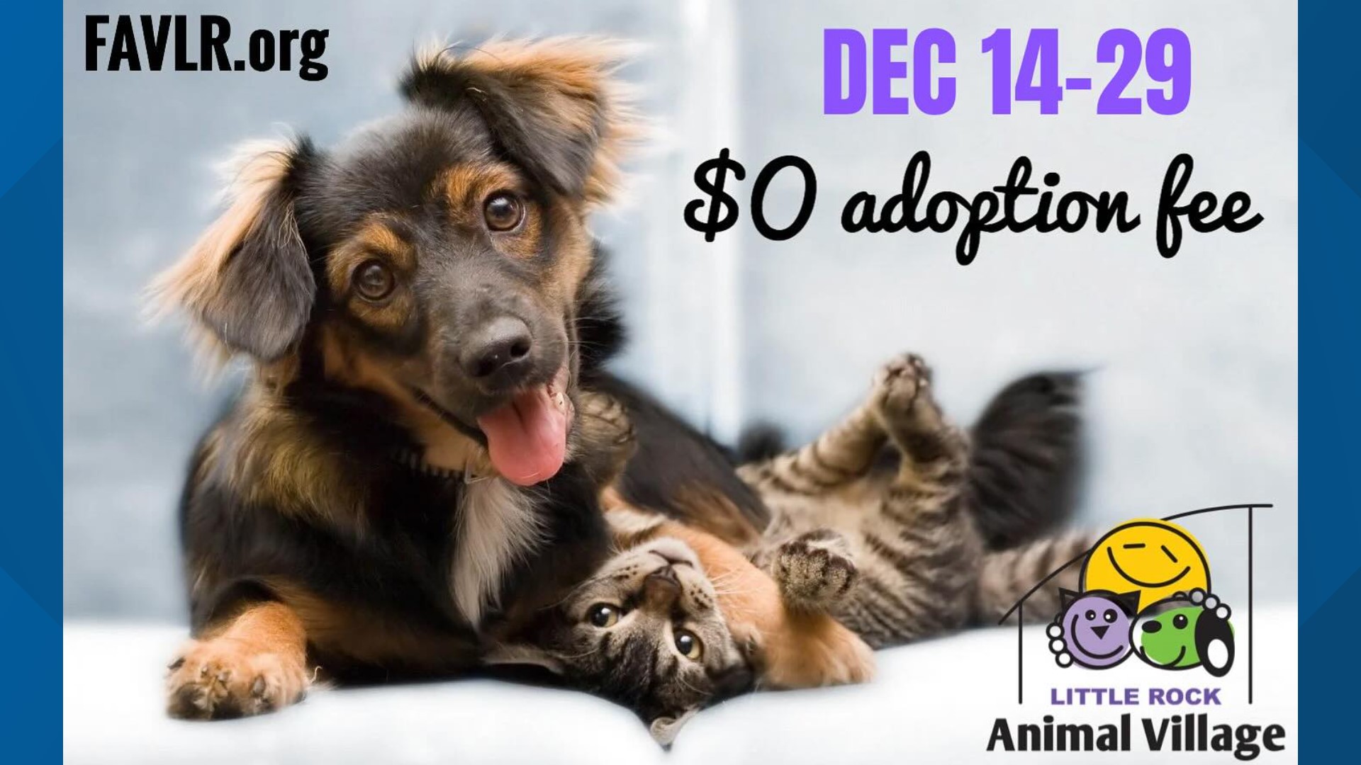 Adoptions at Little Rock Animal Village now free
