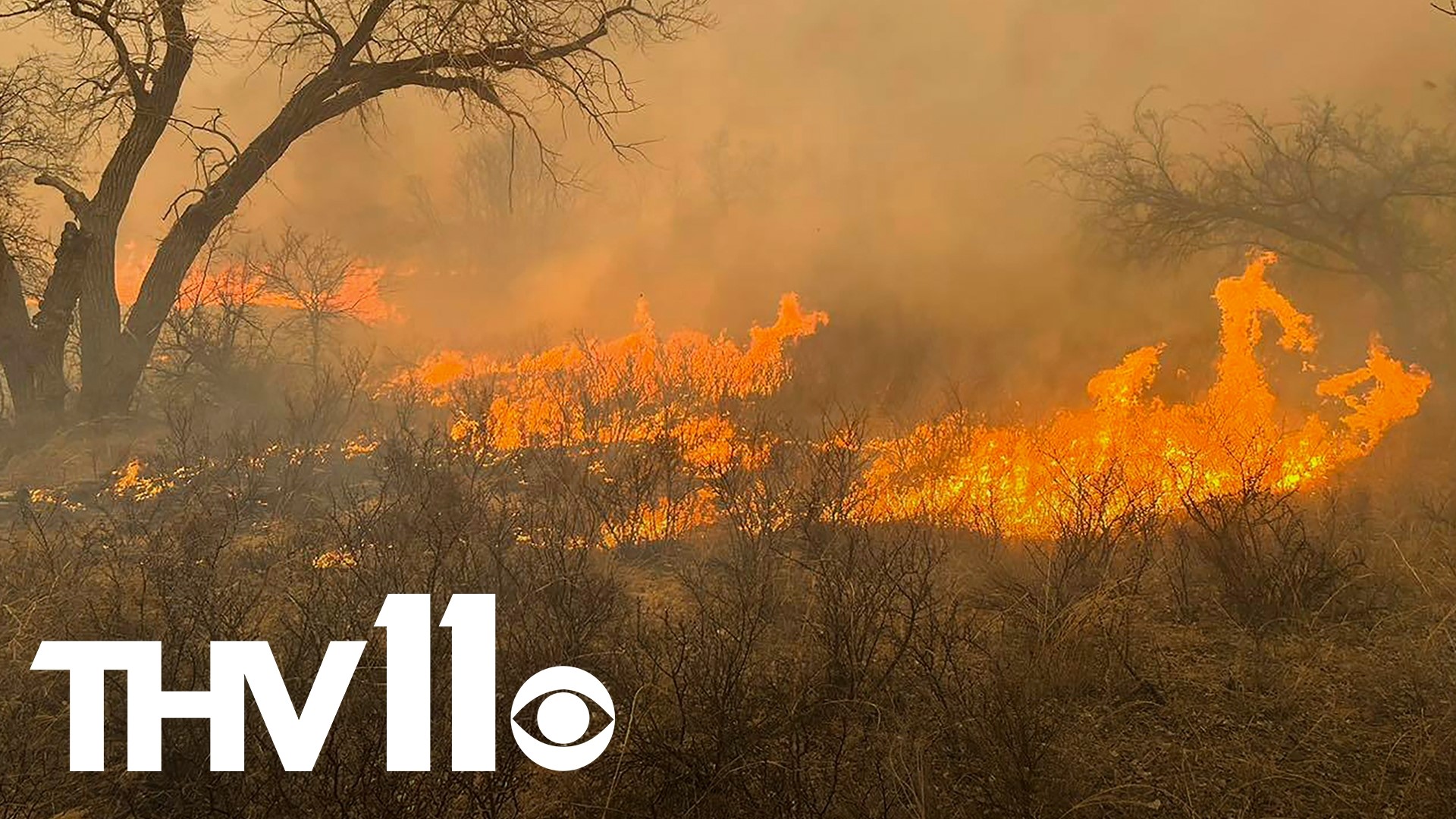 Largest wildfire in Texas history sweeps through panhandle | thv11.com