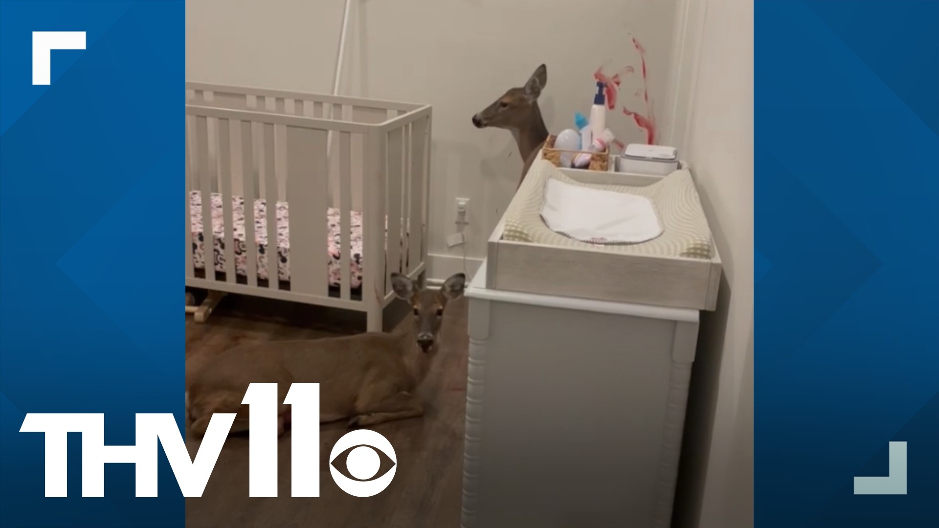 A Little Rock family heard a strange noise in the nursery and couldn't believe what they caught on camera.